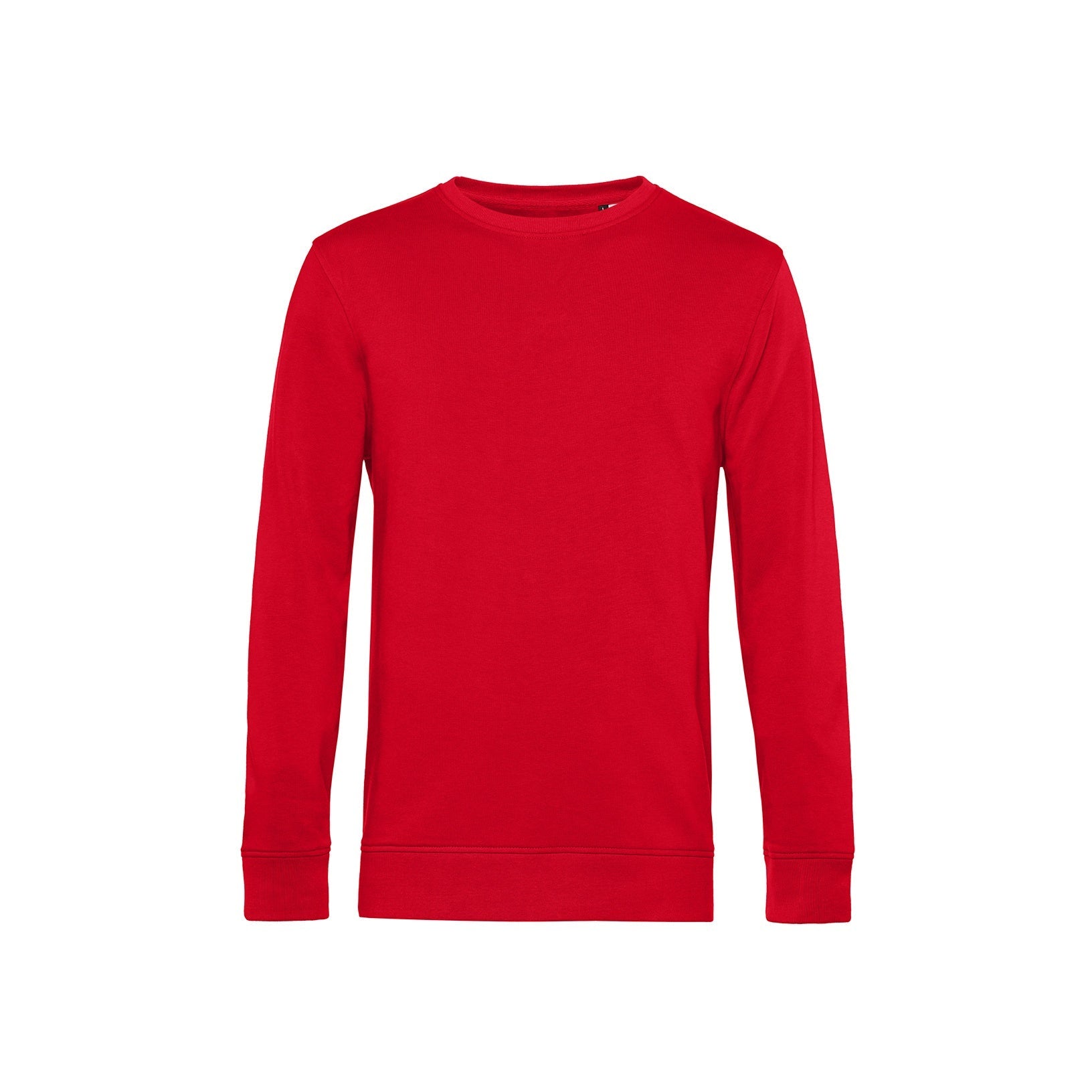 Organic Essential Sweatshirt: Mens - REGN