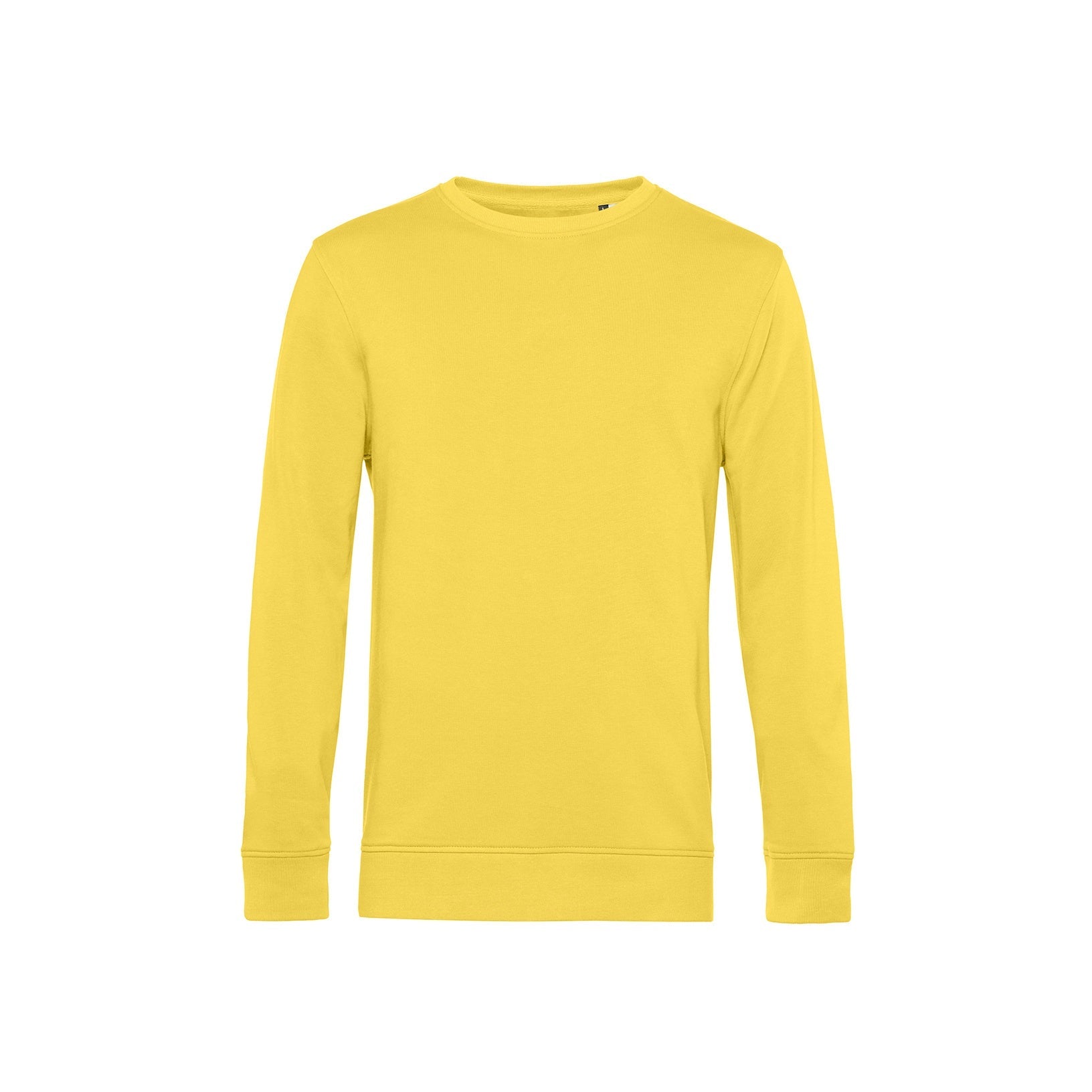 Organic Essential Sweatshirt: Mens - REGN