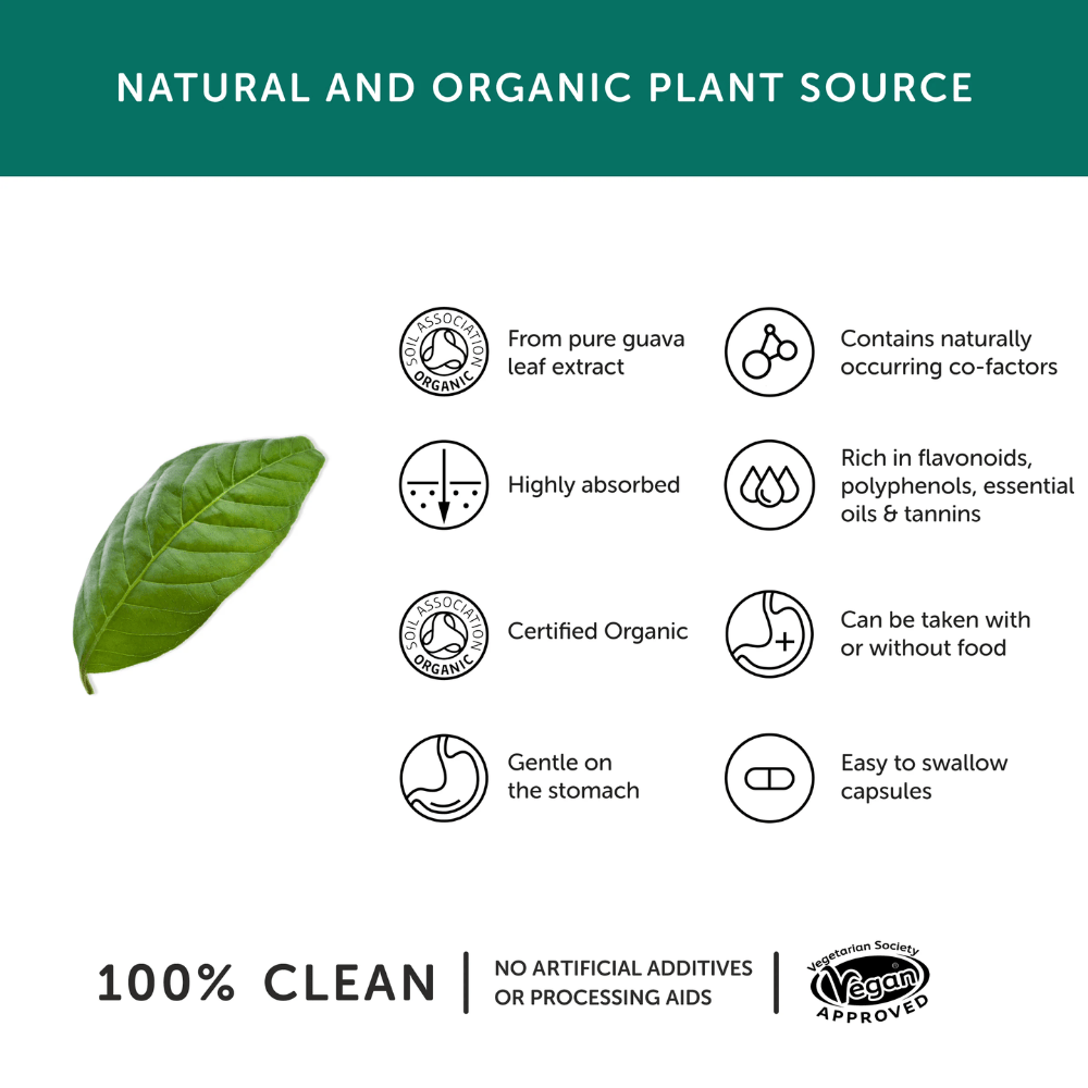 Organic Guava Leaf Zinc Capsules – Soil Association Certified Plant - Based Zinc (30 Capsules) - REGN