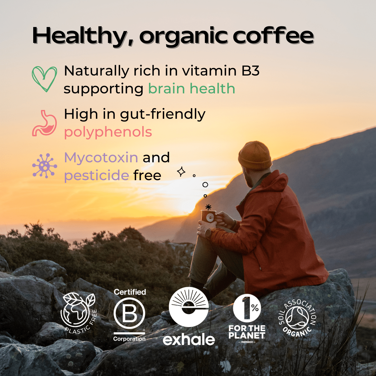 Organic House Roast Coffee - REGN