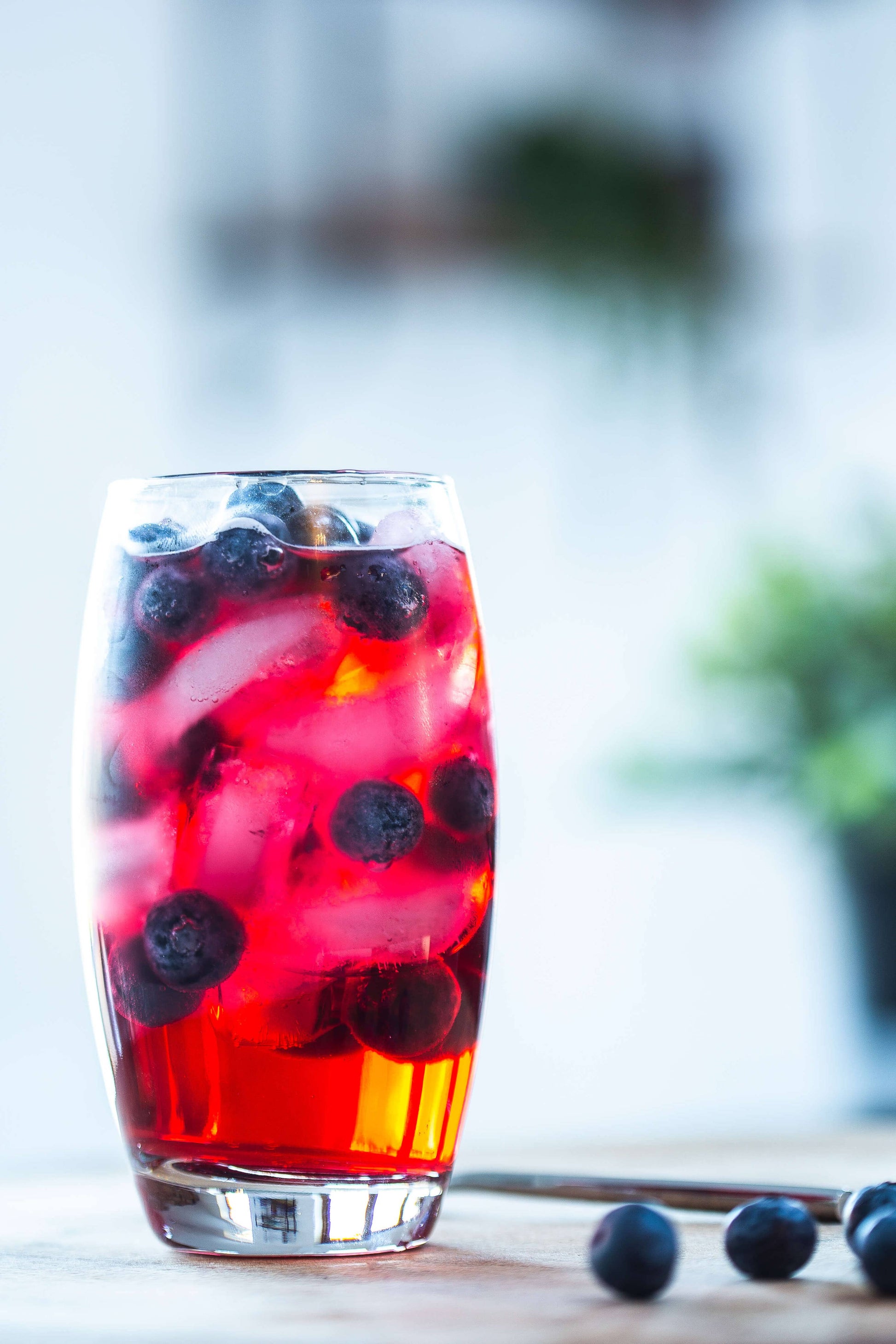 Organic Kombucha Blueberry & Lavender – Unpasteurised Fermented Green Tea 330ml - REGN