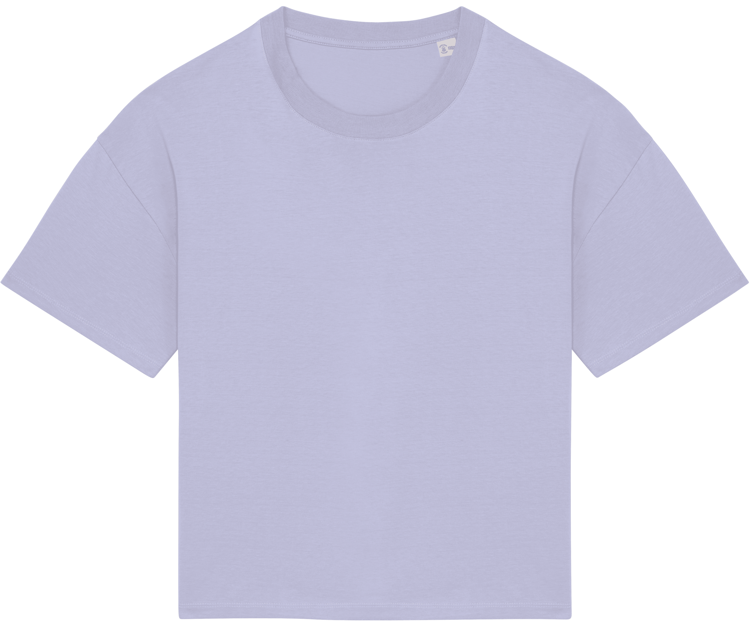 Organic Oversized T-shirt: Womens - REGN