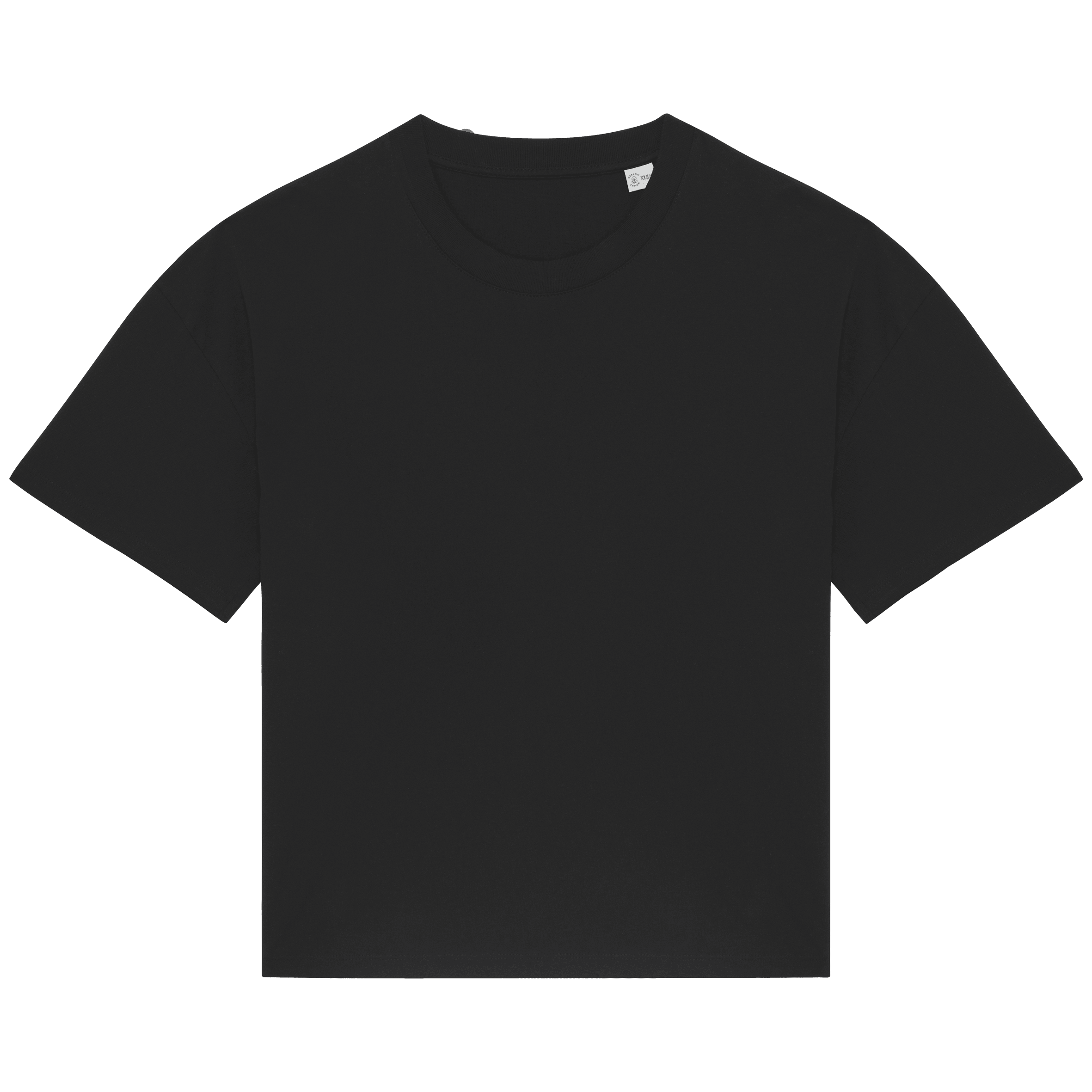 Organic Oversized T-shirt: Womens - REGN