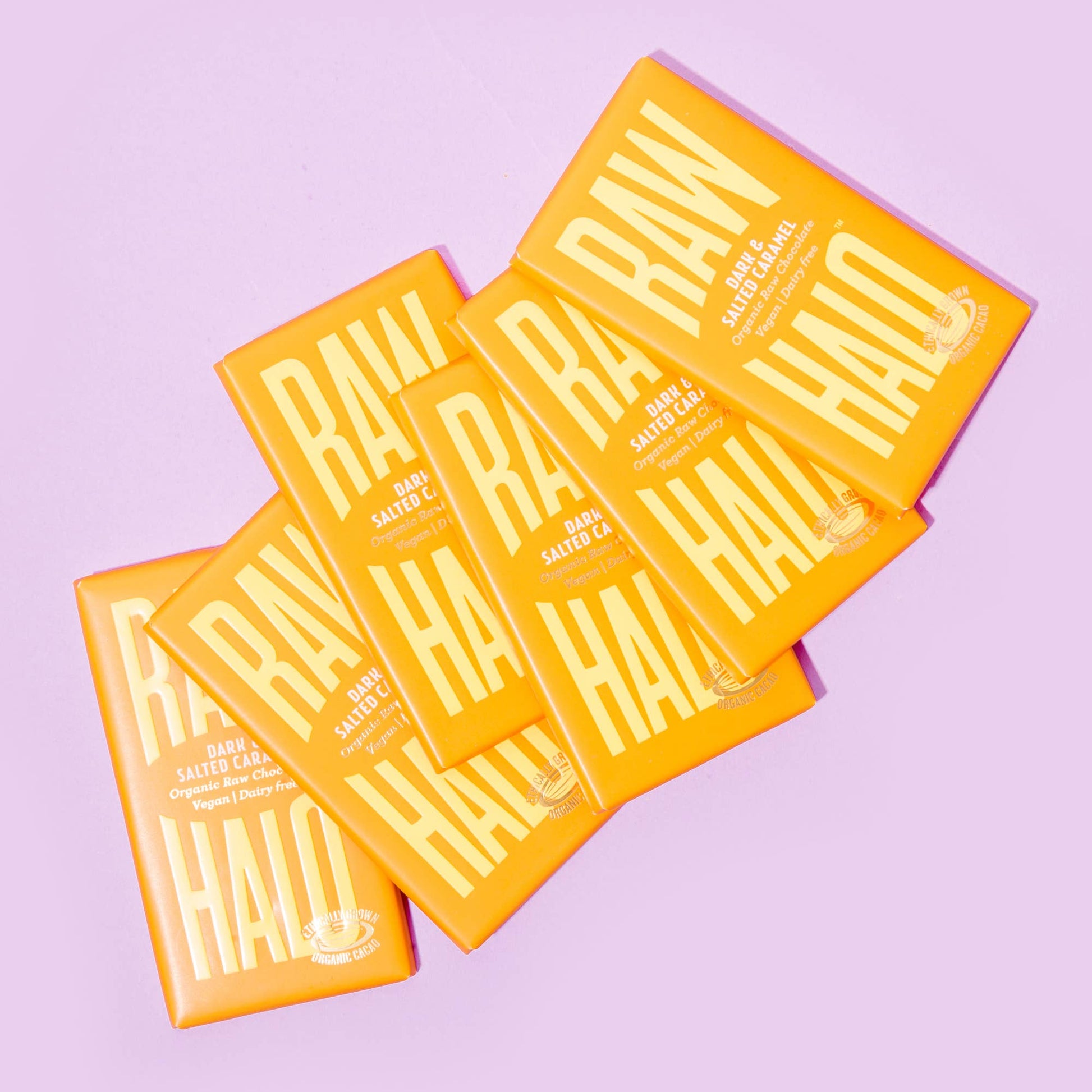 Organic Vegan Dark Chocolate with Salted Caramel 35g - REGN