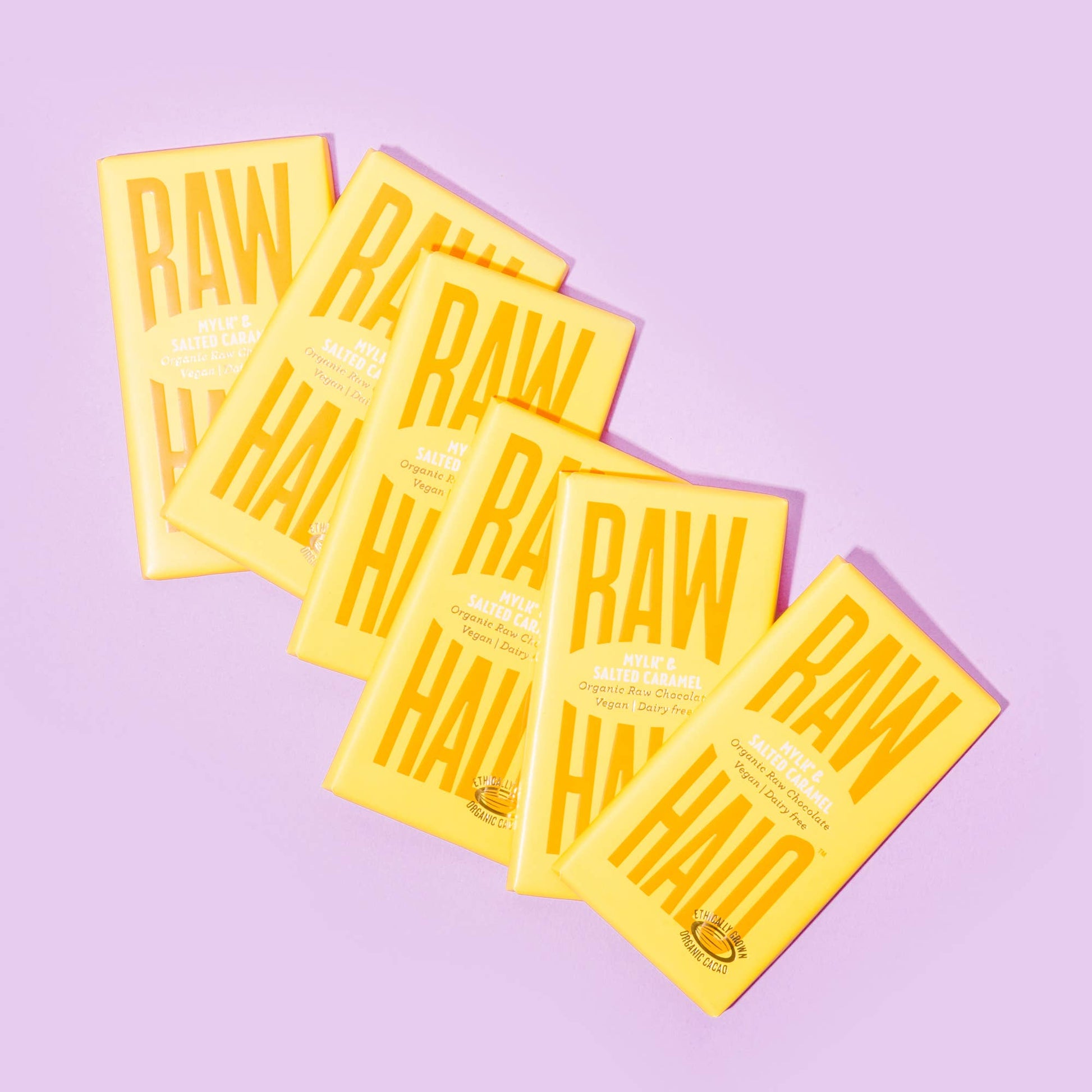 Organic Vegan Mylk Chocolate with Salted Caramel 35g - REGN