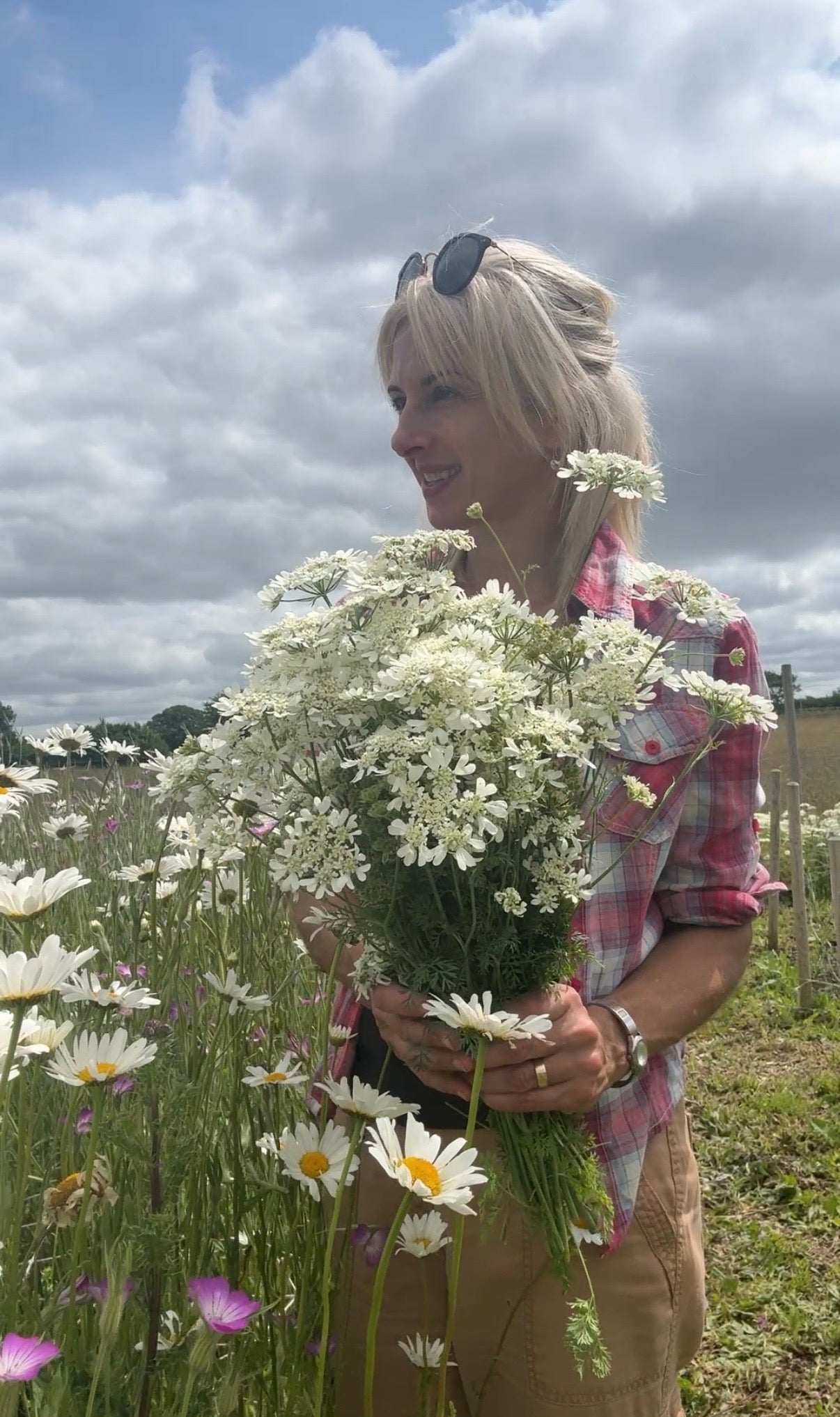 Orlaya Grandiflora - REGN