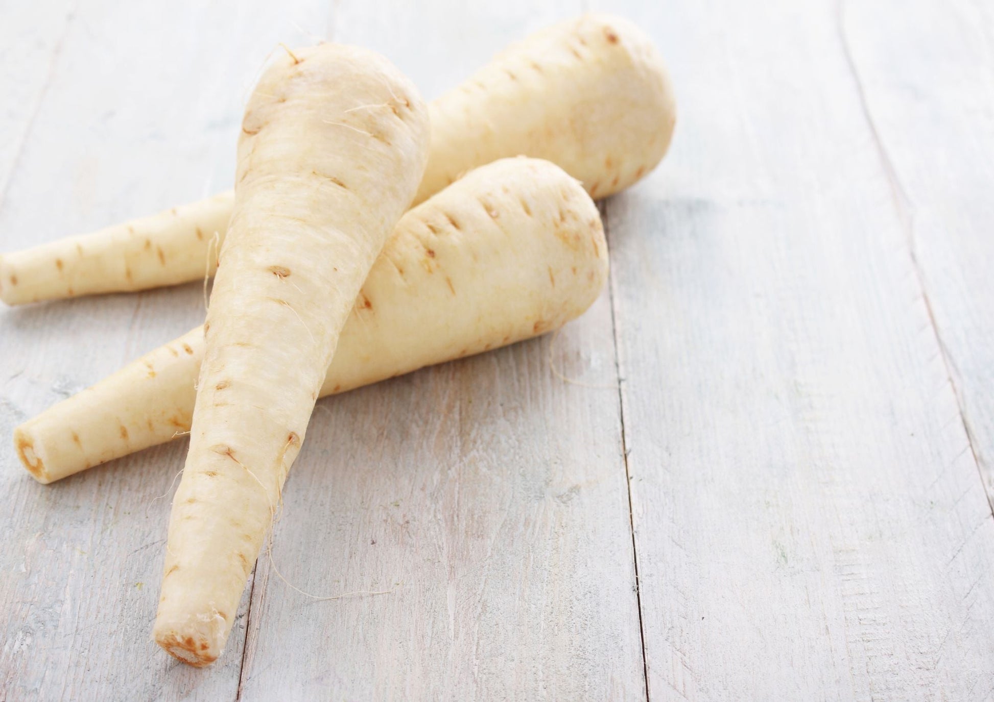Parsnip Tender & True - REGN