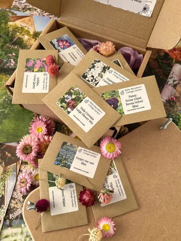 Perfect for Pressing Seed Box plus Wooden Flower Press - REGN