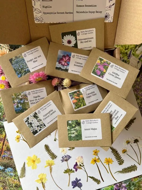 Perfect for Pressing Seed Box plus Wooden Flower Press - REGN