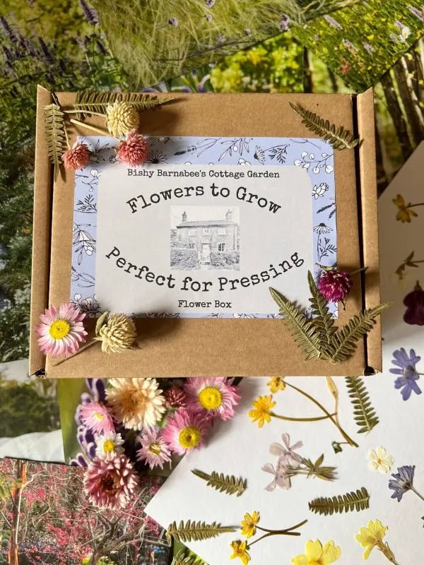 Perfect for Pressing Seed Box plus Wooden Flower Press - REGN