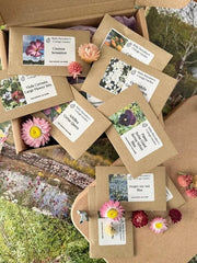 Perfect for Pressing Seed Box plus Wooden Flower Press - REGN