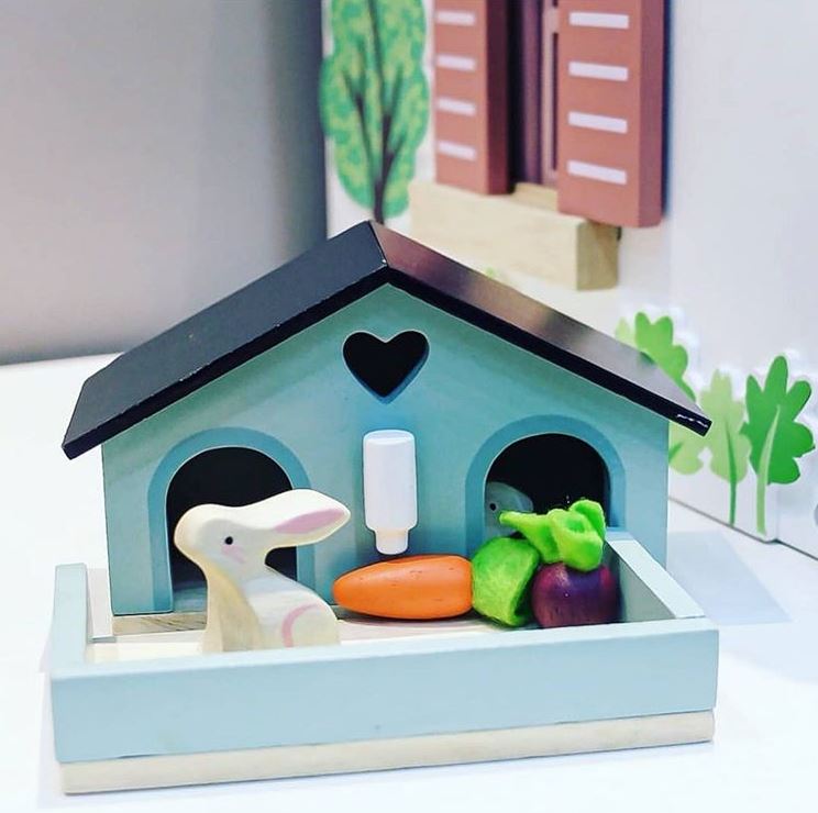 Pet Rabbit Set - REGN