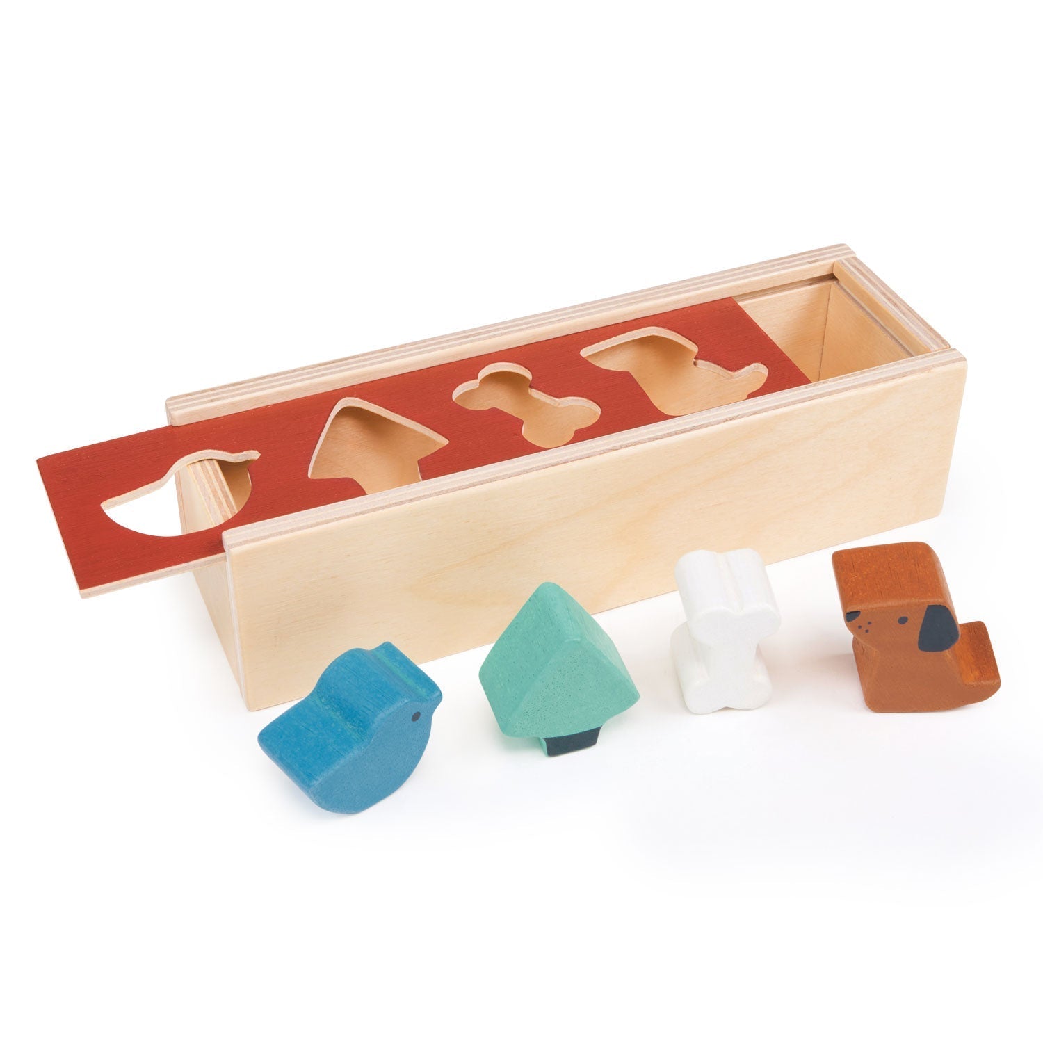 Pet Shape Sorting Box - REGN