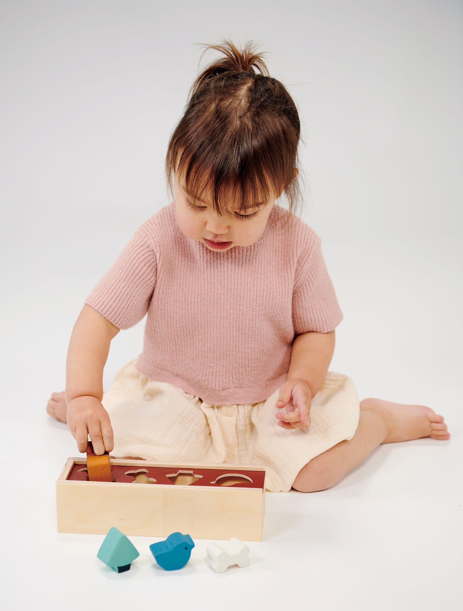 Pet Shape Sorting Box - REGN