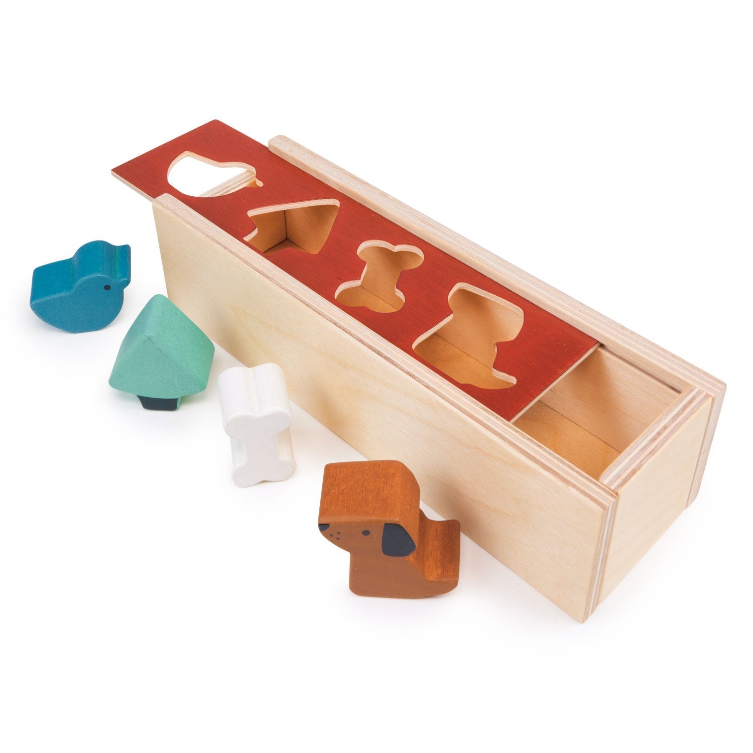 Pet Shape Sorting Box - REGN