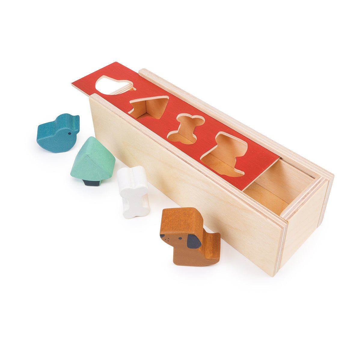 Pet Shape Sorting Box - REGN