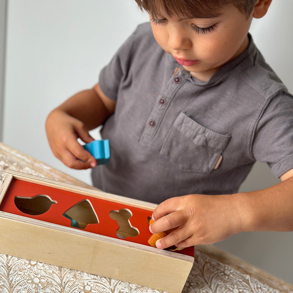Pet Shape Sorting Box - REGN