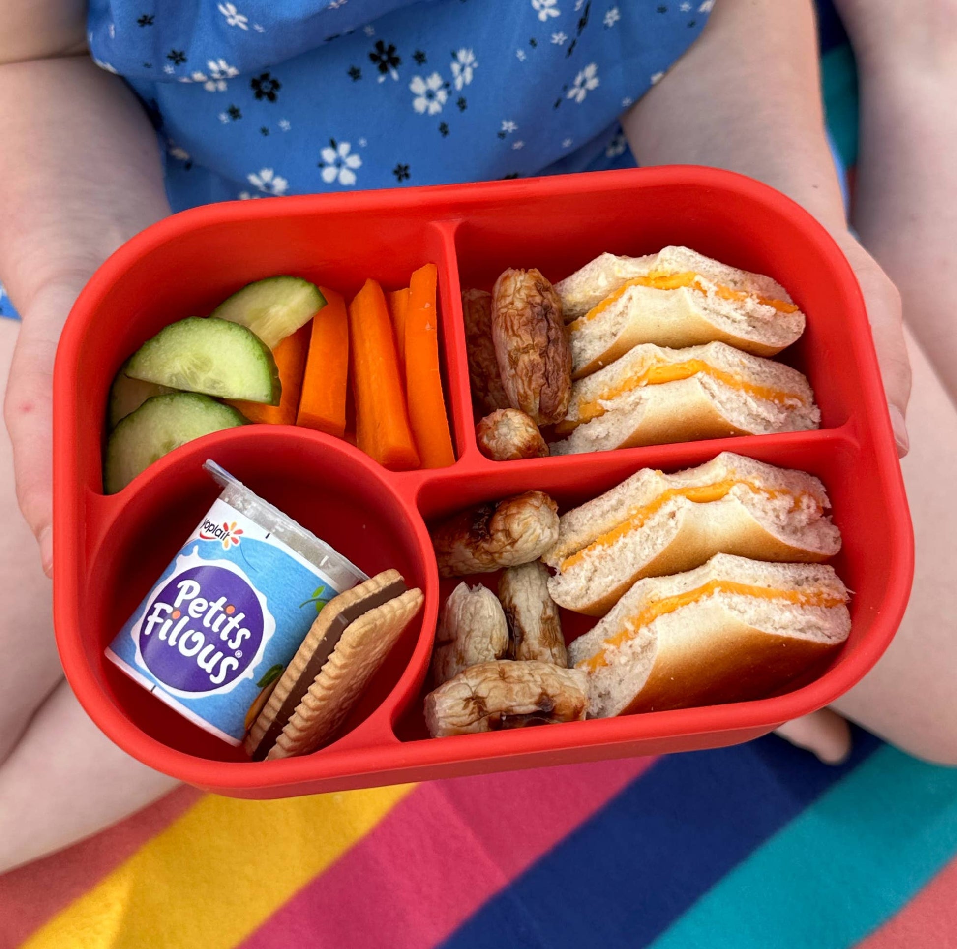 Pick Plates Pick Box Bento Silicone Lunch Box – 4 Compartment 750ml - REGN
