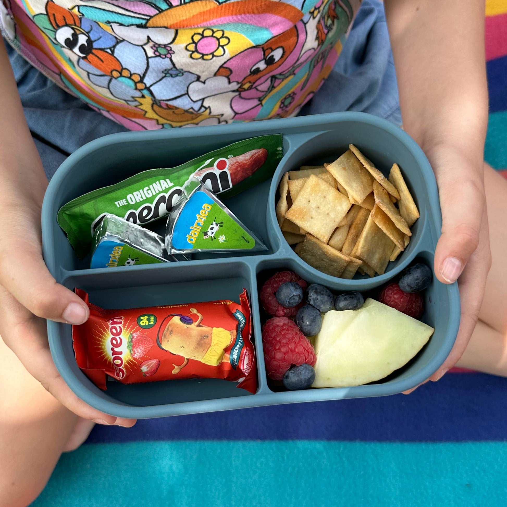 Pick Plates Pick Box Bento Silicone Lunch Box – 4 Compartment 750ml - REGN