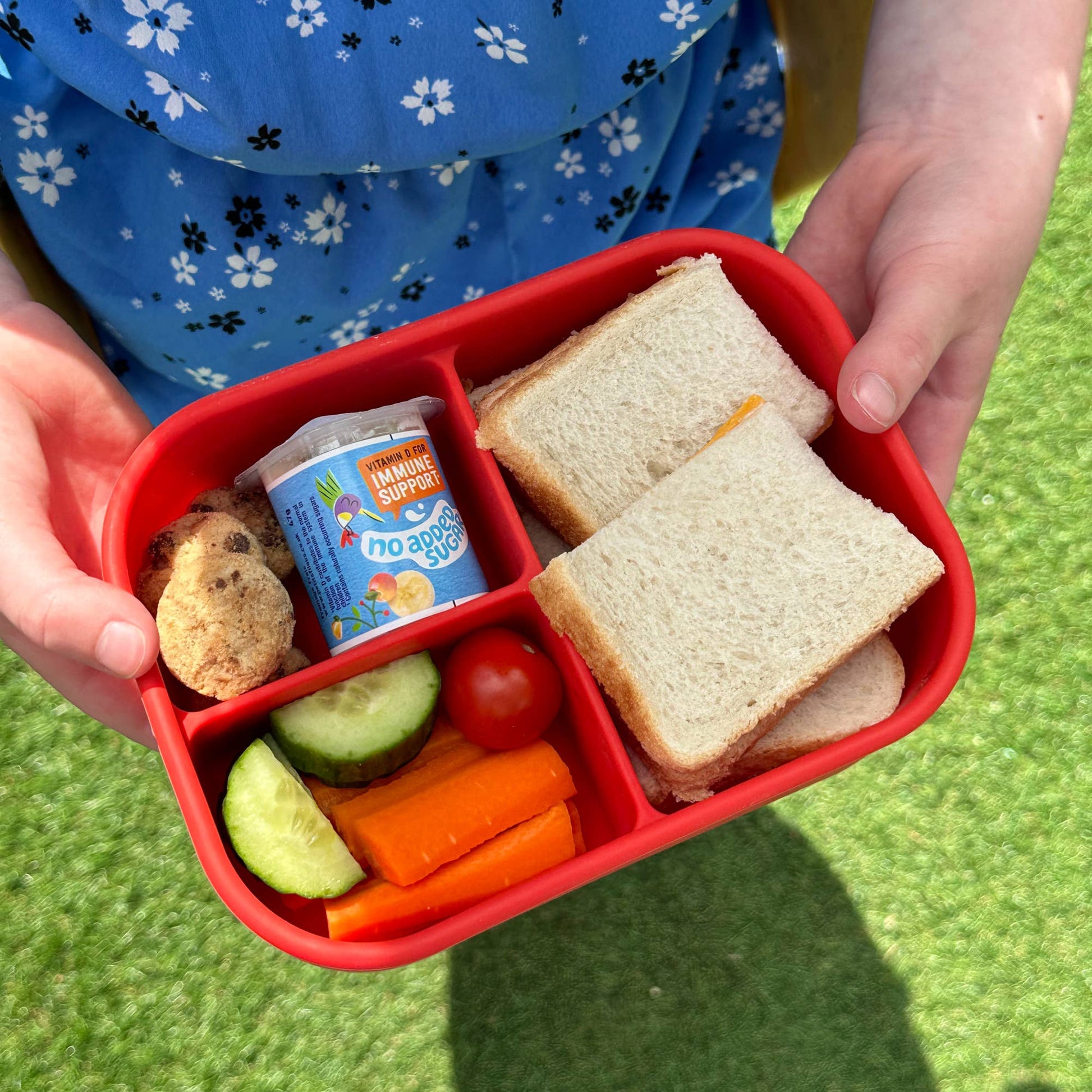 Pick Plates Pick Box Classic Silicone Lunch Box – 3 Compartment 750ml - REGN