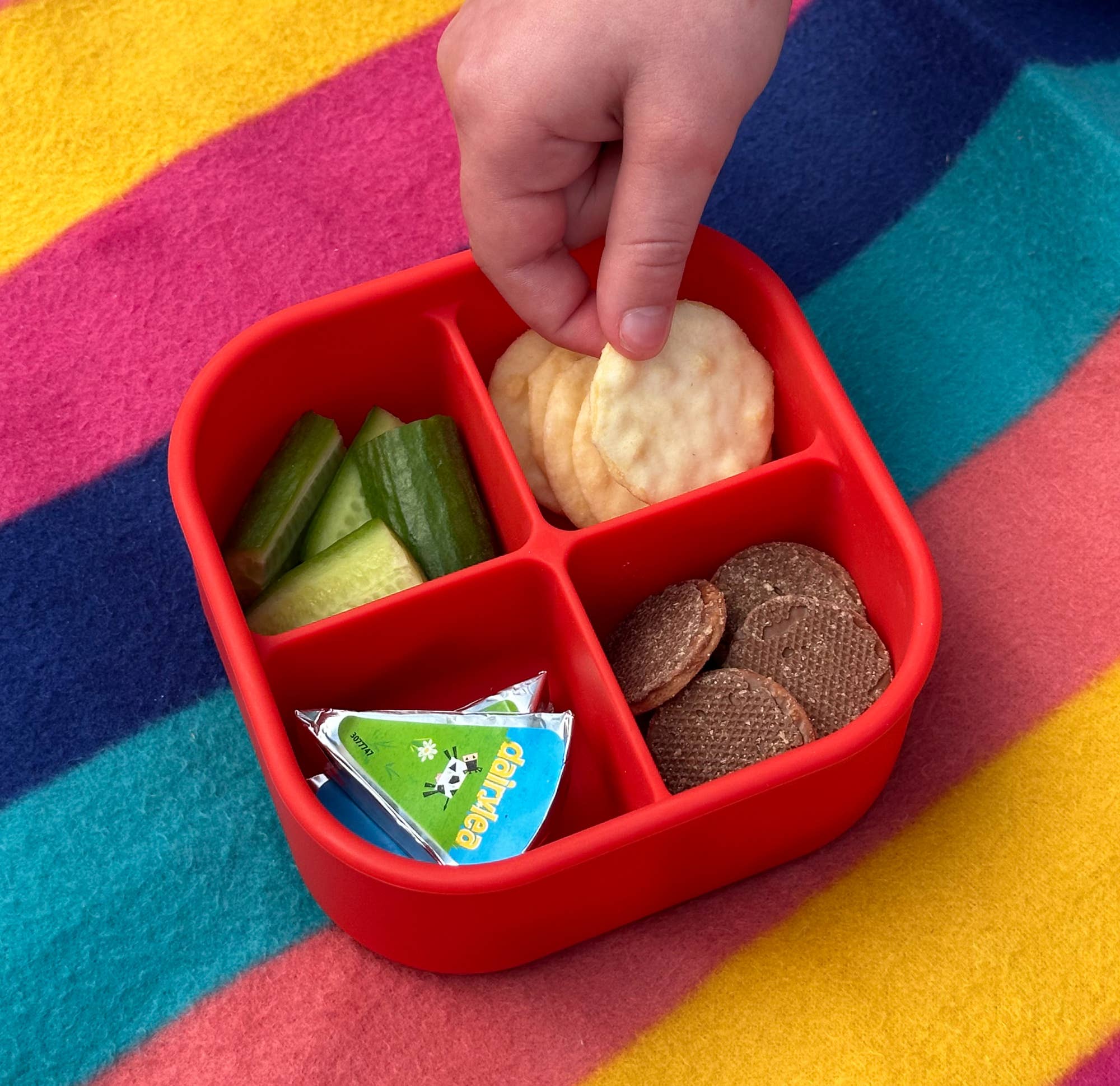 Pick Plates Pick Box Snack Silicone Snack Box – 4 Compartment 500ml - REGN
