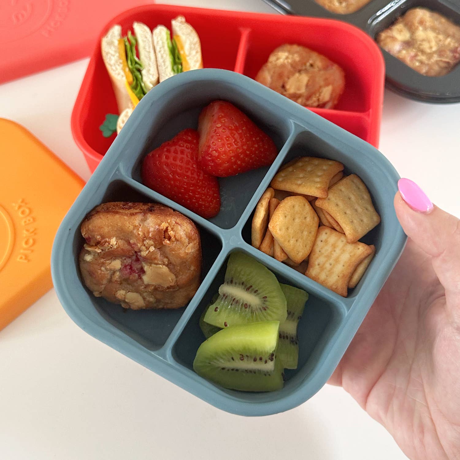 Pick Plates Pick Box Snack Silicone Snack Box – 4 Compartment 500ml - REGN