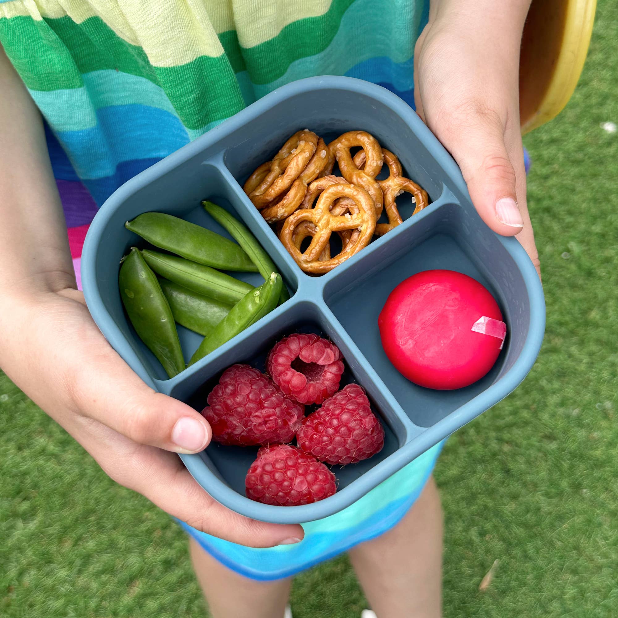 Pick Plates Pick Box Snack Silicone Snack Box – 4 Compartment 500ml - REGN