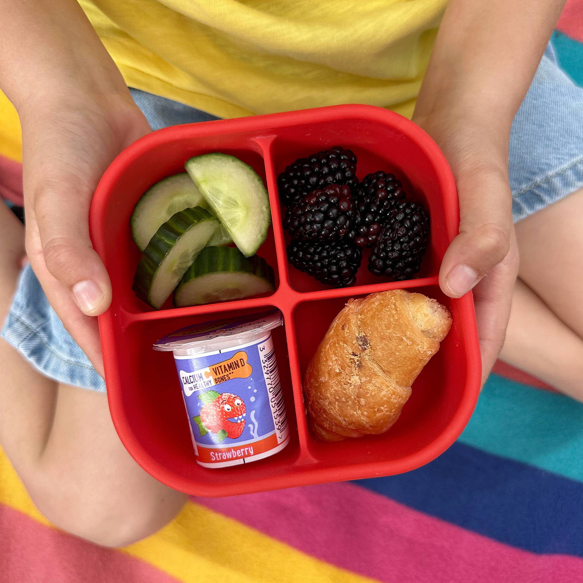 Pick Plates Pick Box Snack Silicone Snack Box – 4 Compartment 500ml - REGN