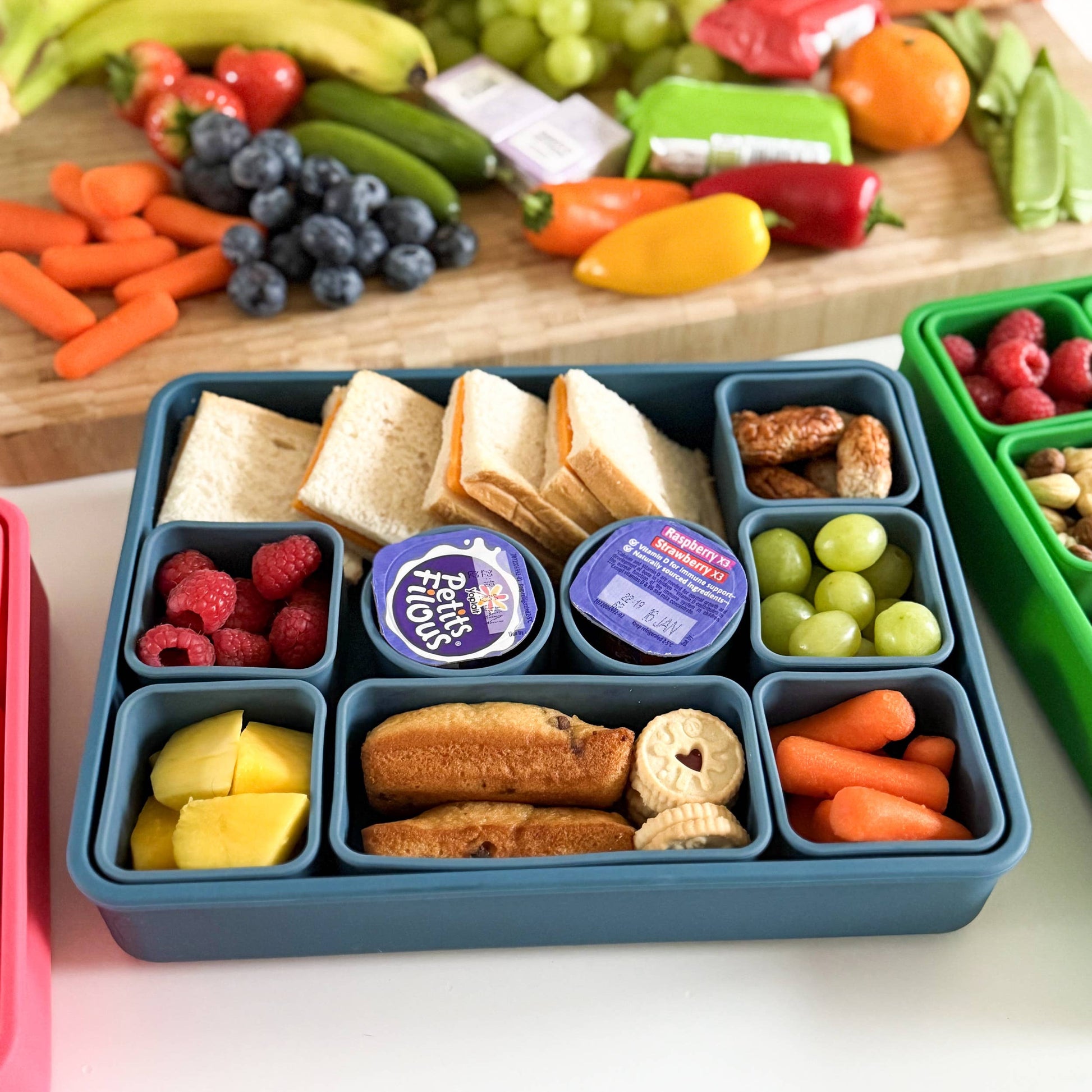 Pick Plates Snackle Box Silicone Snack Box – 10 Compartment Food Container - REGN