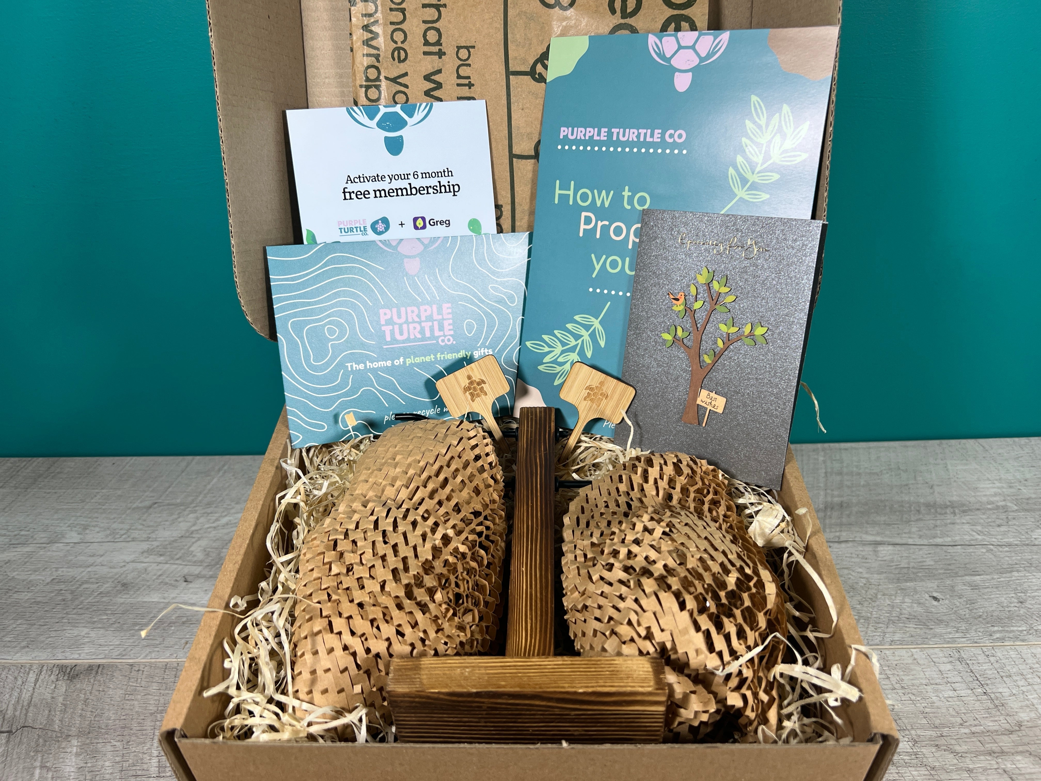 Plant Propagation Gift Set 1 - REGN
