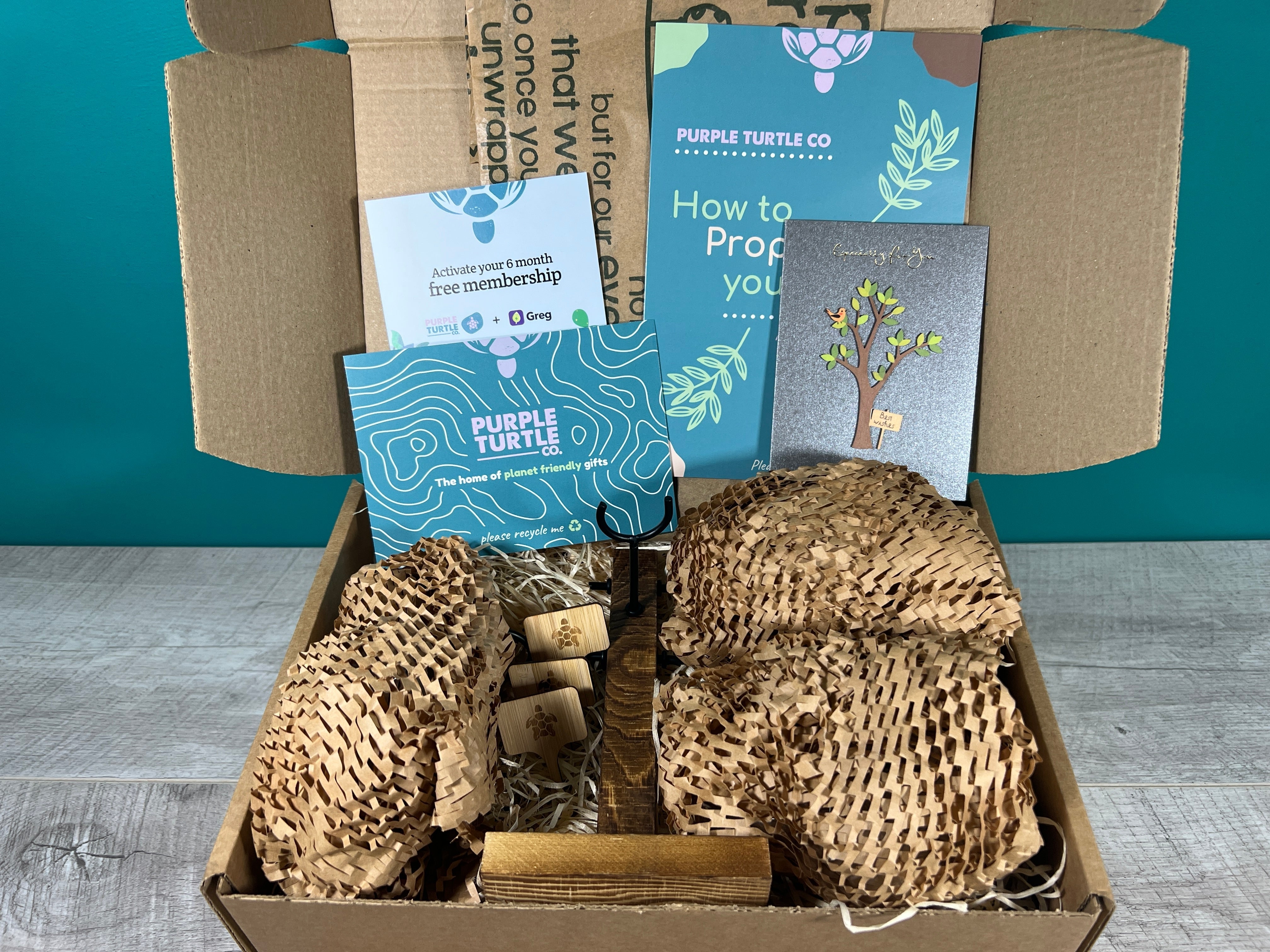Plant Propagation Gift Set 1 - REGN