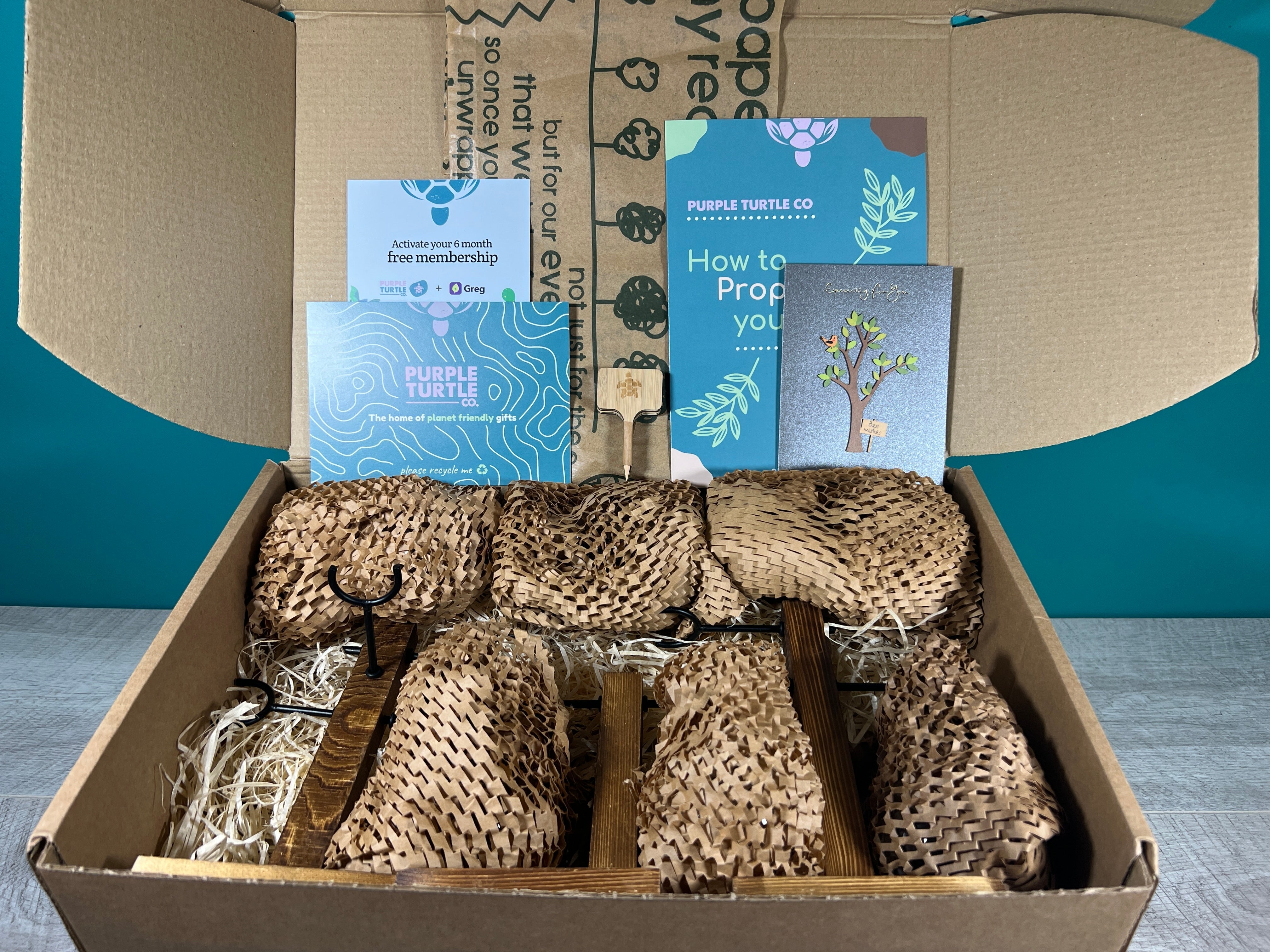 Plant Propagation Gift Set 1 - REGN