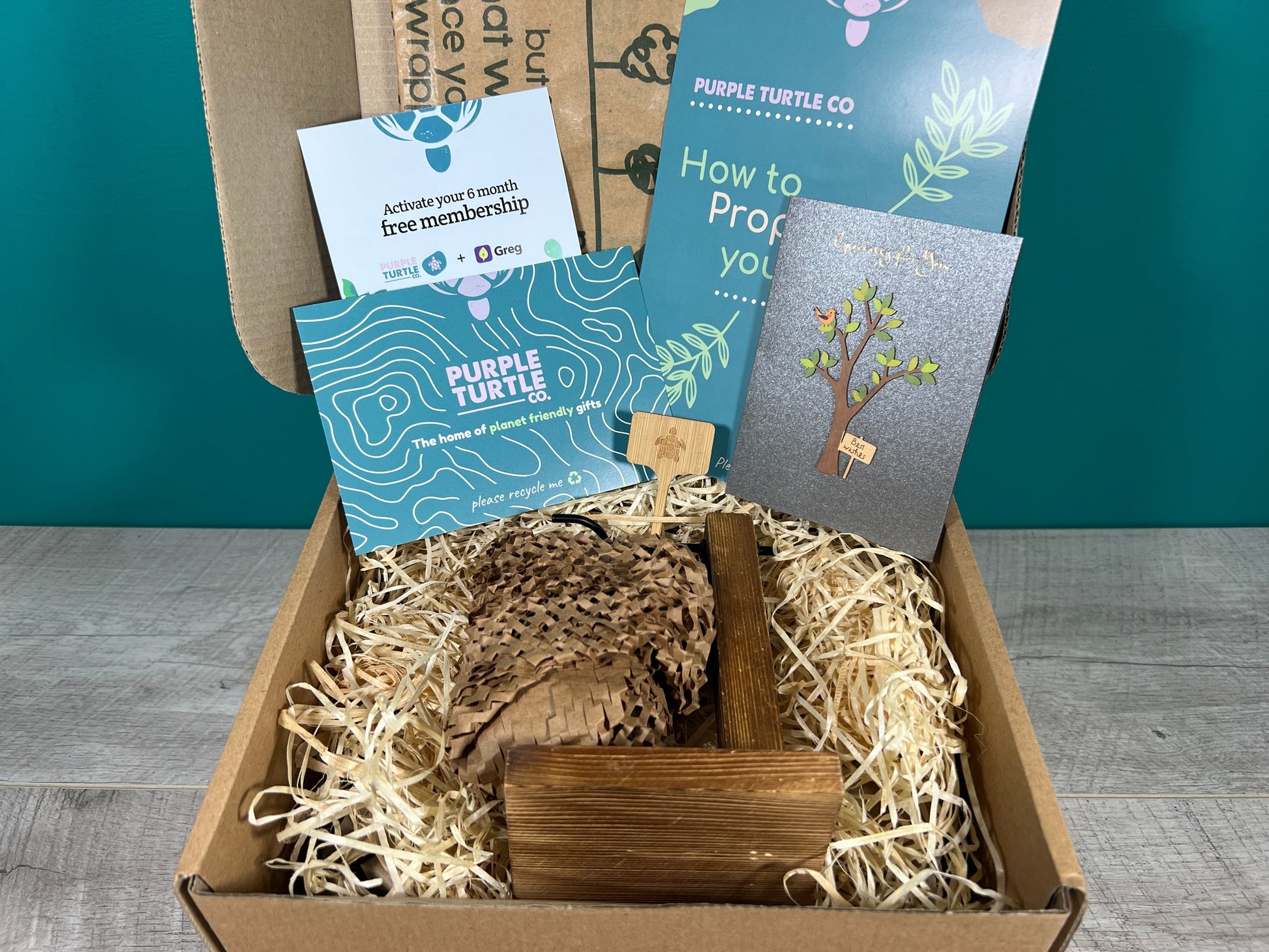 Plant Propagation Gift Set 1 - REGN