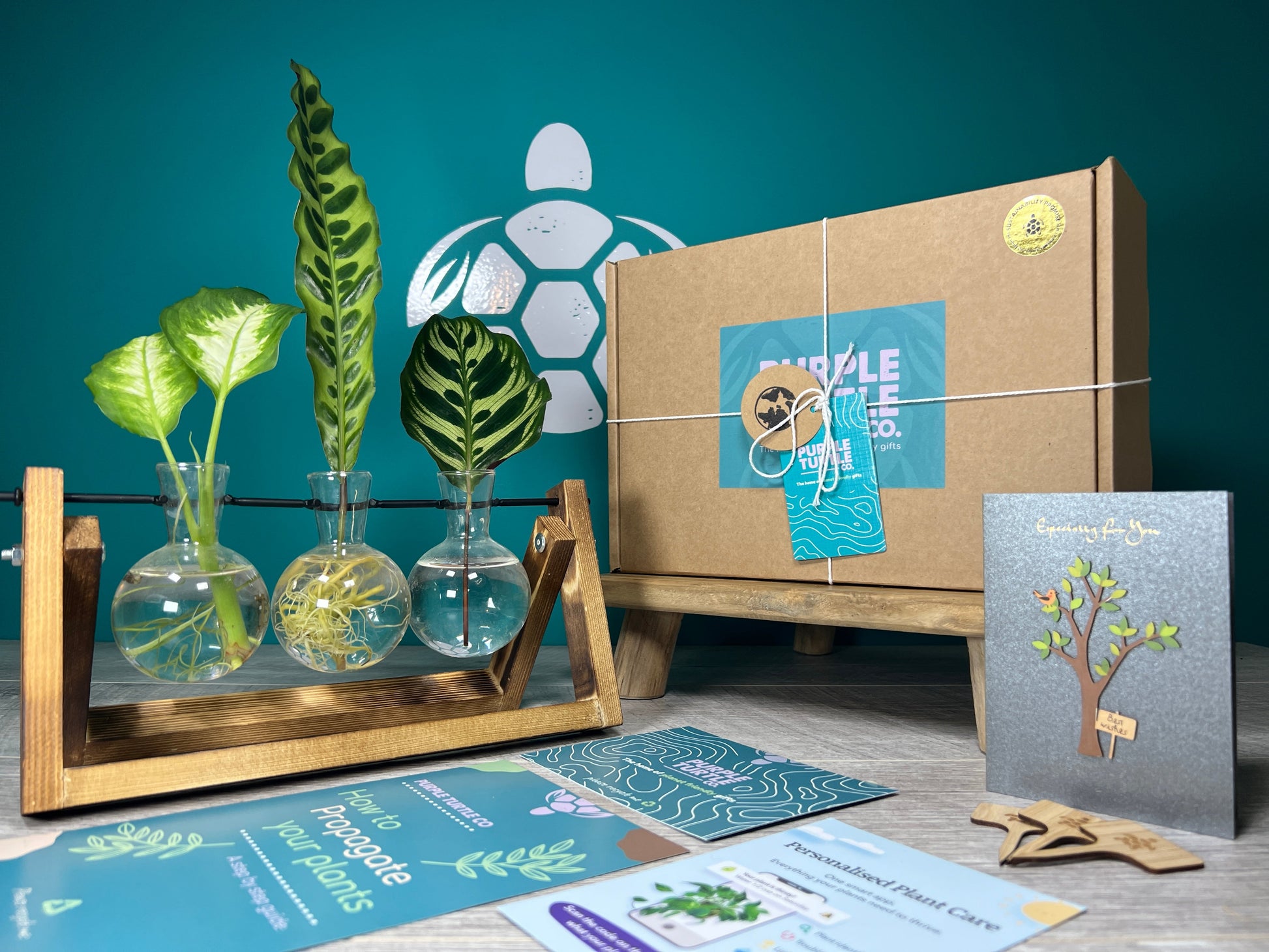 Plant Propagation Gift Set 2 - REGN