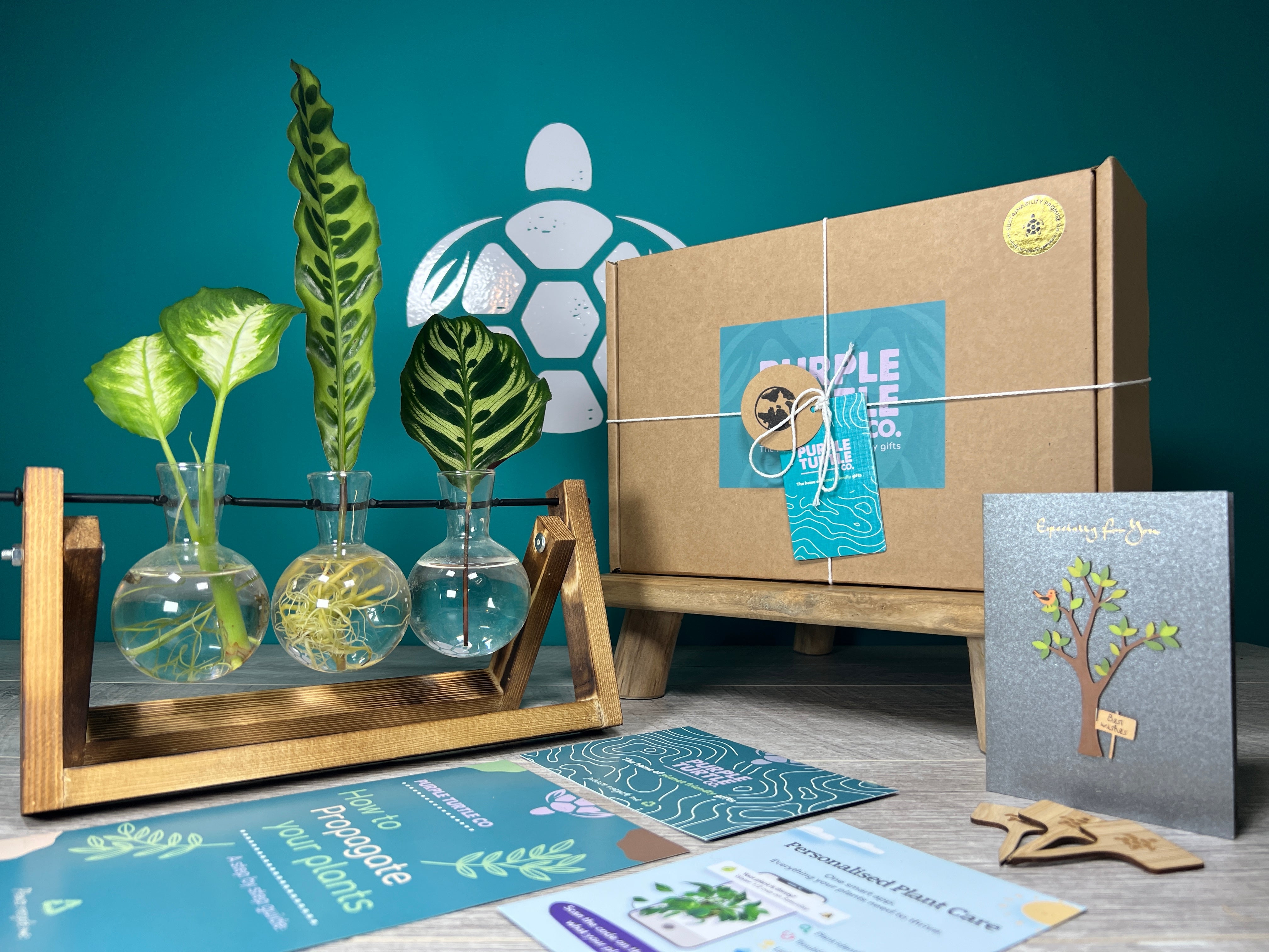 Plant Propagation Gift Set 2 - REGN