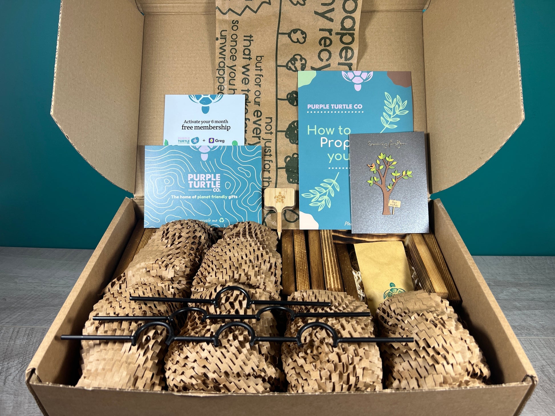 Plant Propagation Gift Set 2 - REGN