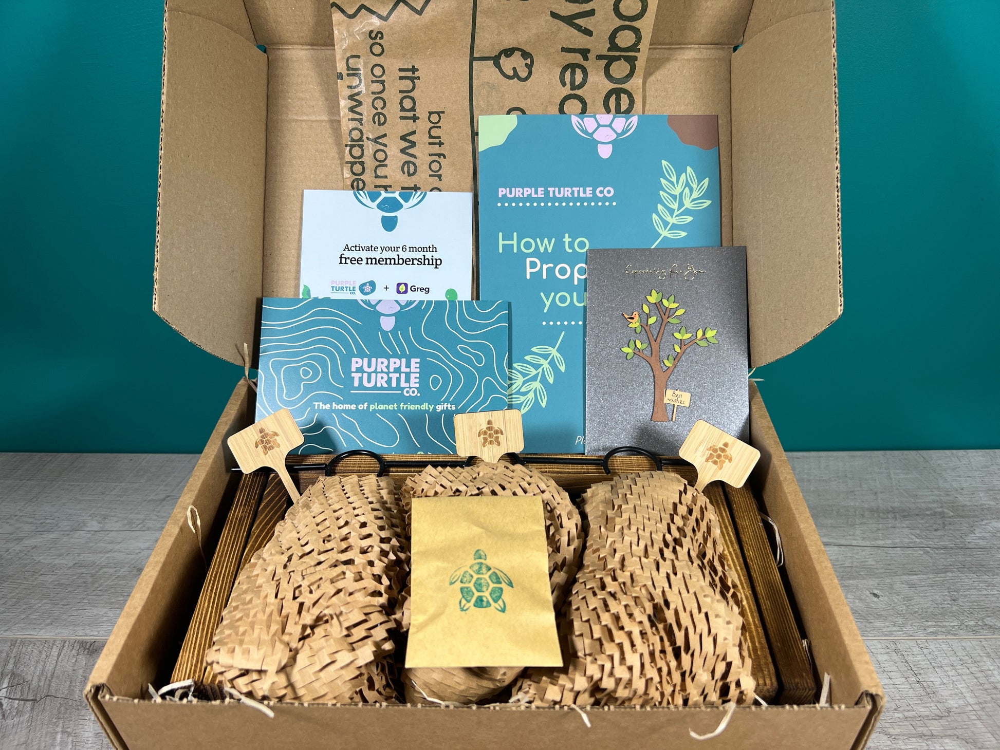 Plant Propagation Gift Set 2 - REGN