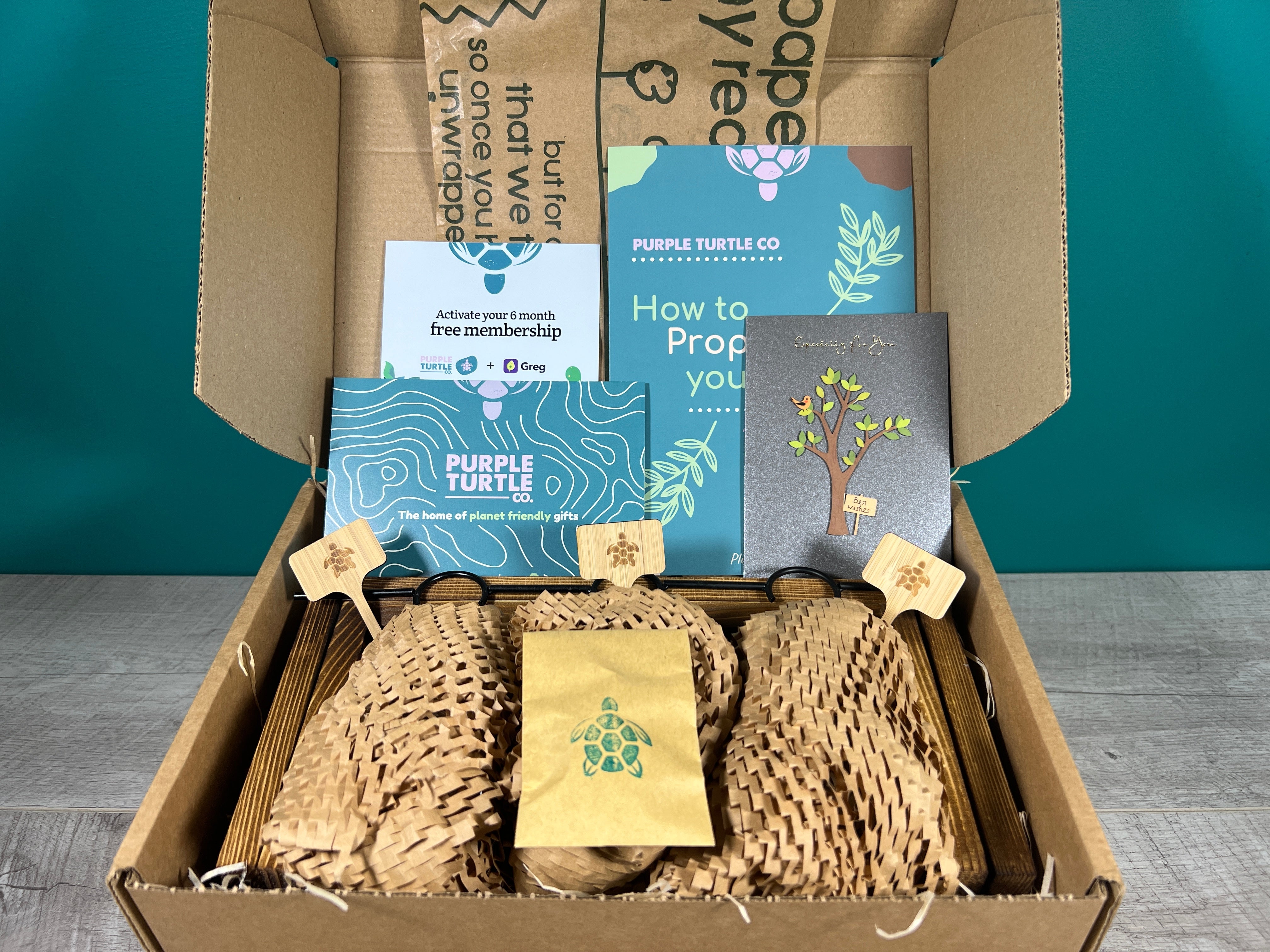 Plant Propagation Gift Set 2 - REGN