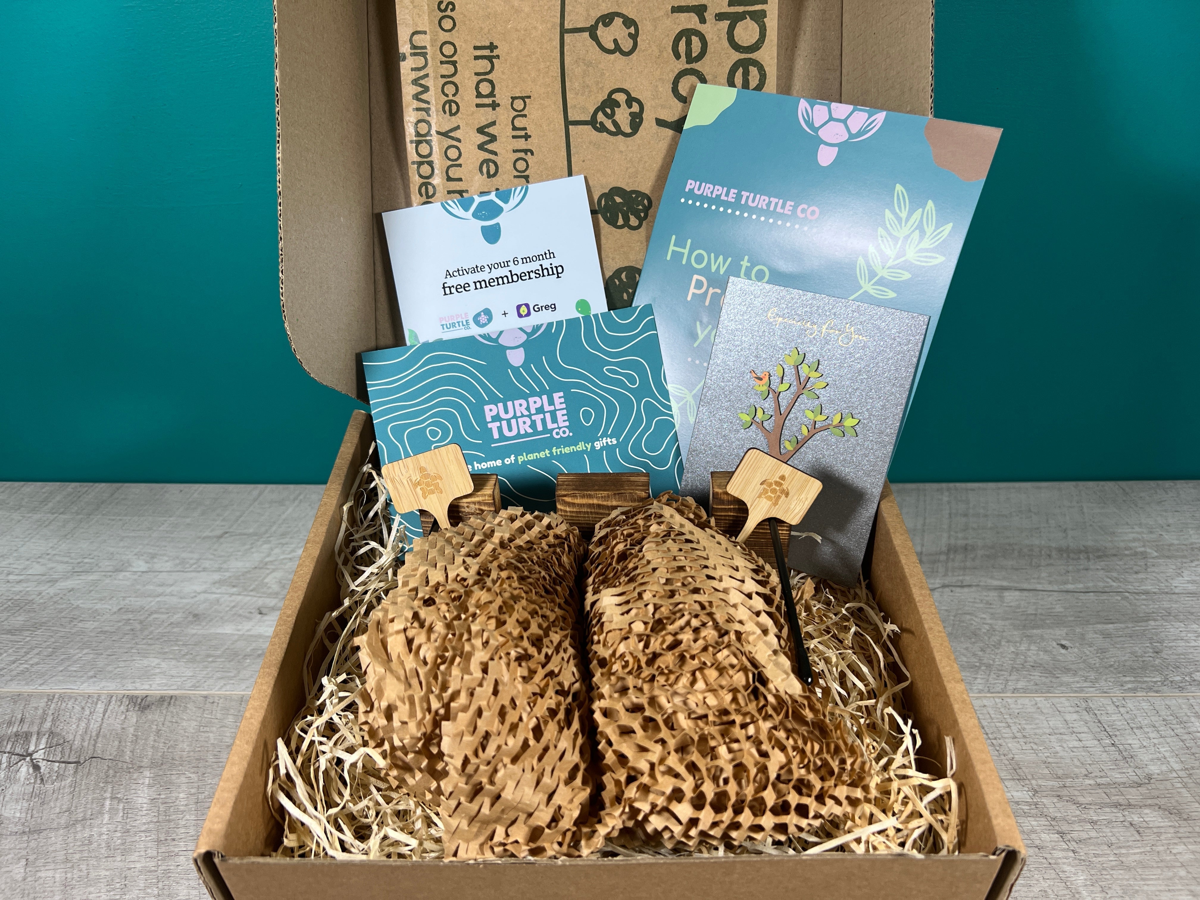 Plant Propagation Gift Set 3 - REGN