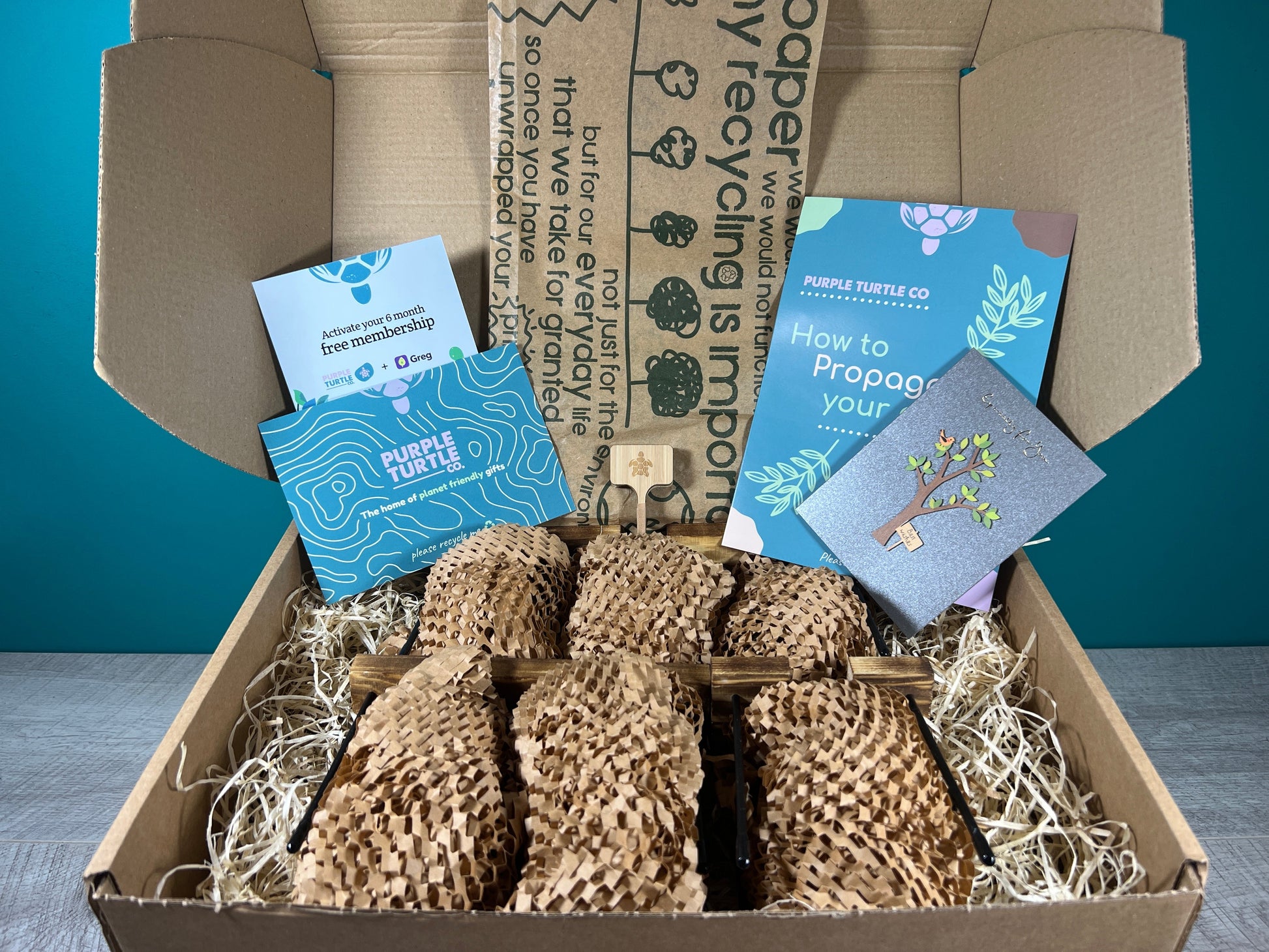 Plant Propagation Gift Set 3 - REGN