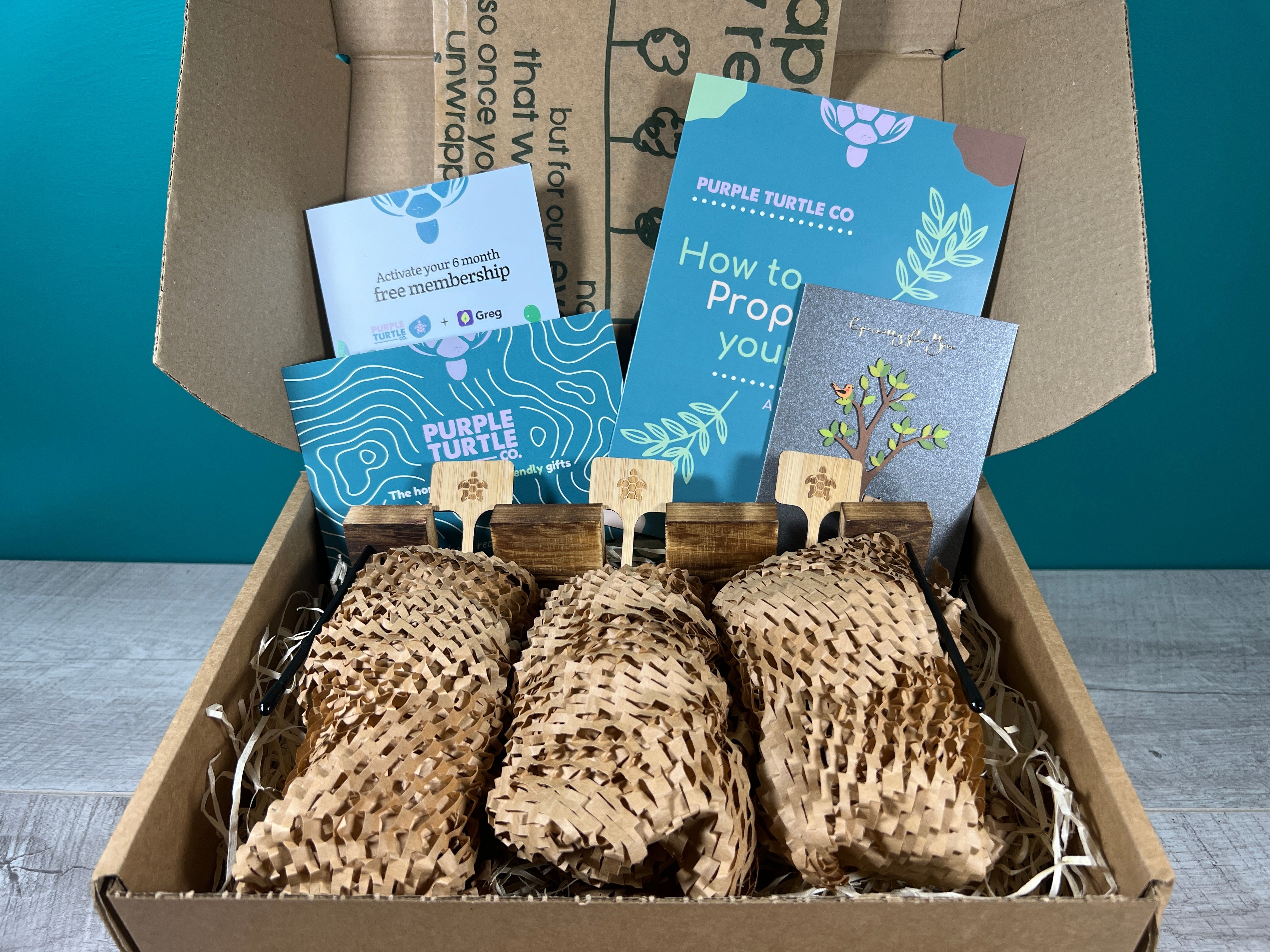 Plant Propagation Gift Set 3 - REGN
