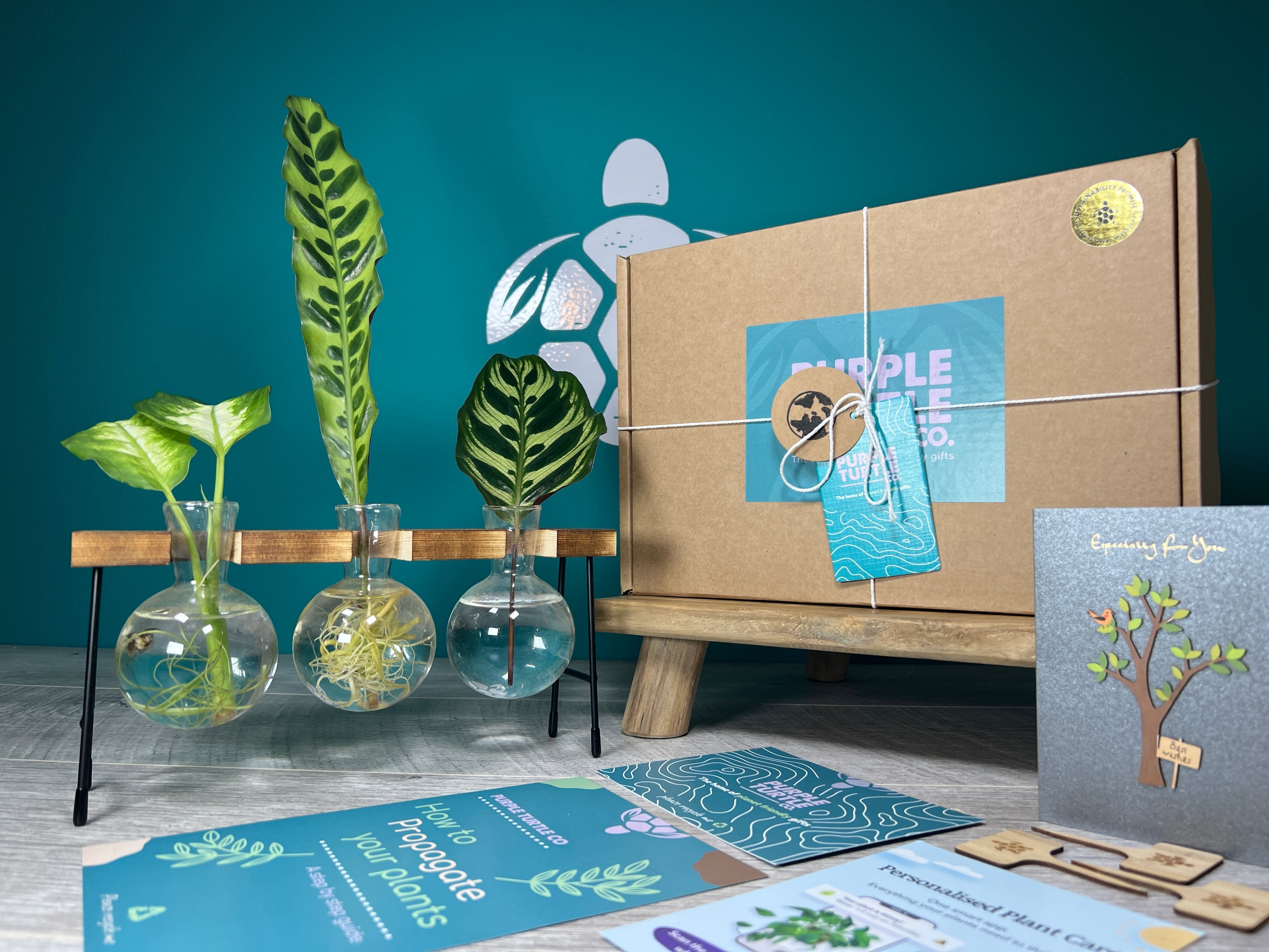 Plant Propagation Gift Set 3 - REGN