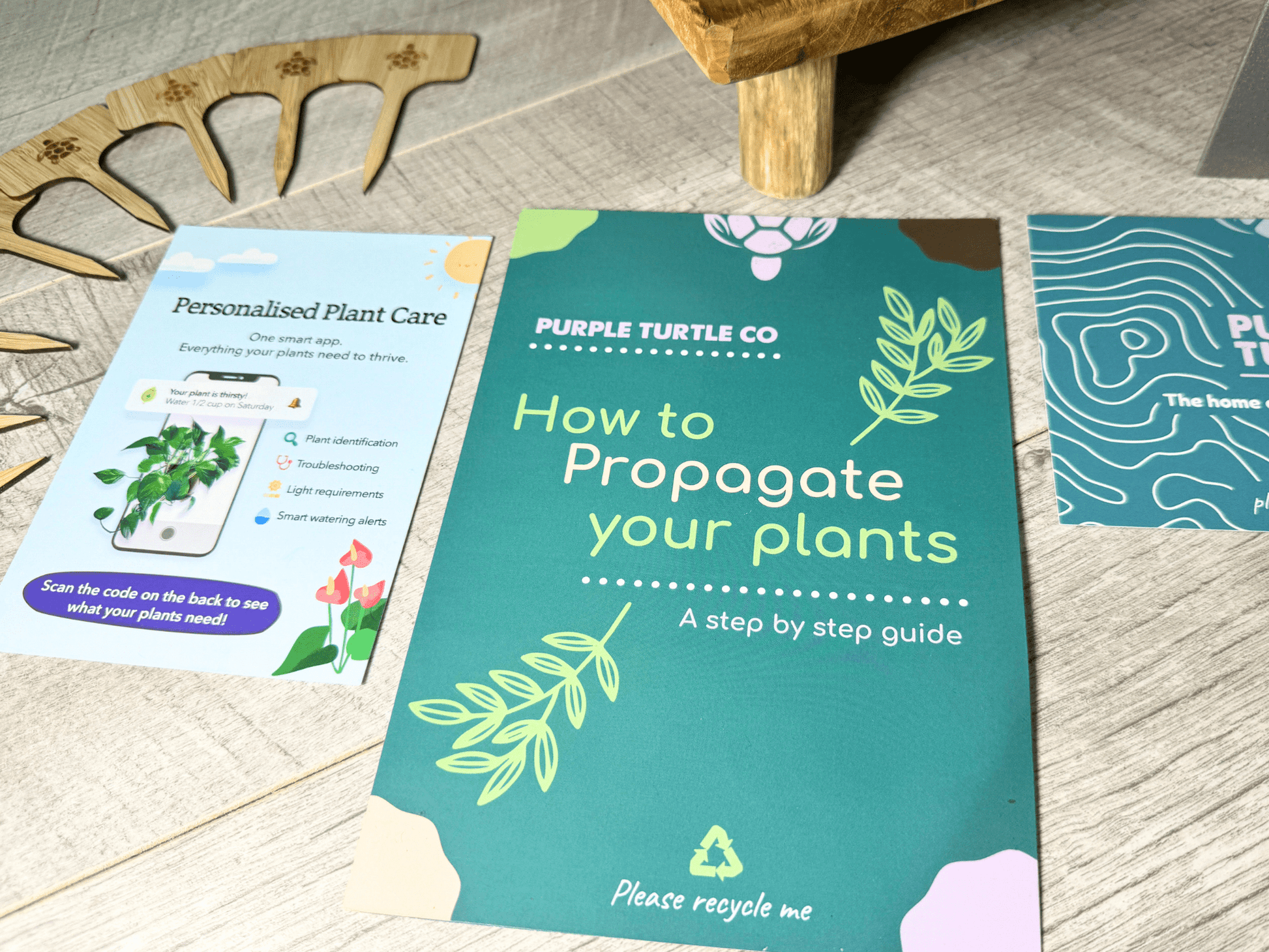Plant Propagation Gift Set 4 - REGN