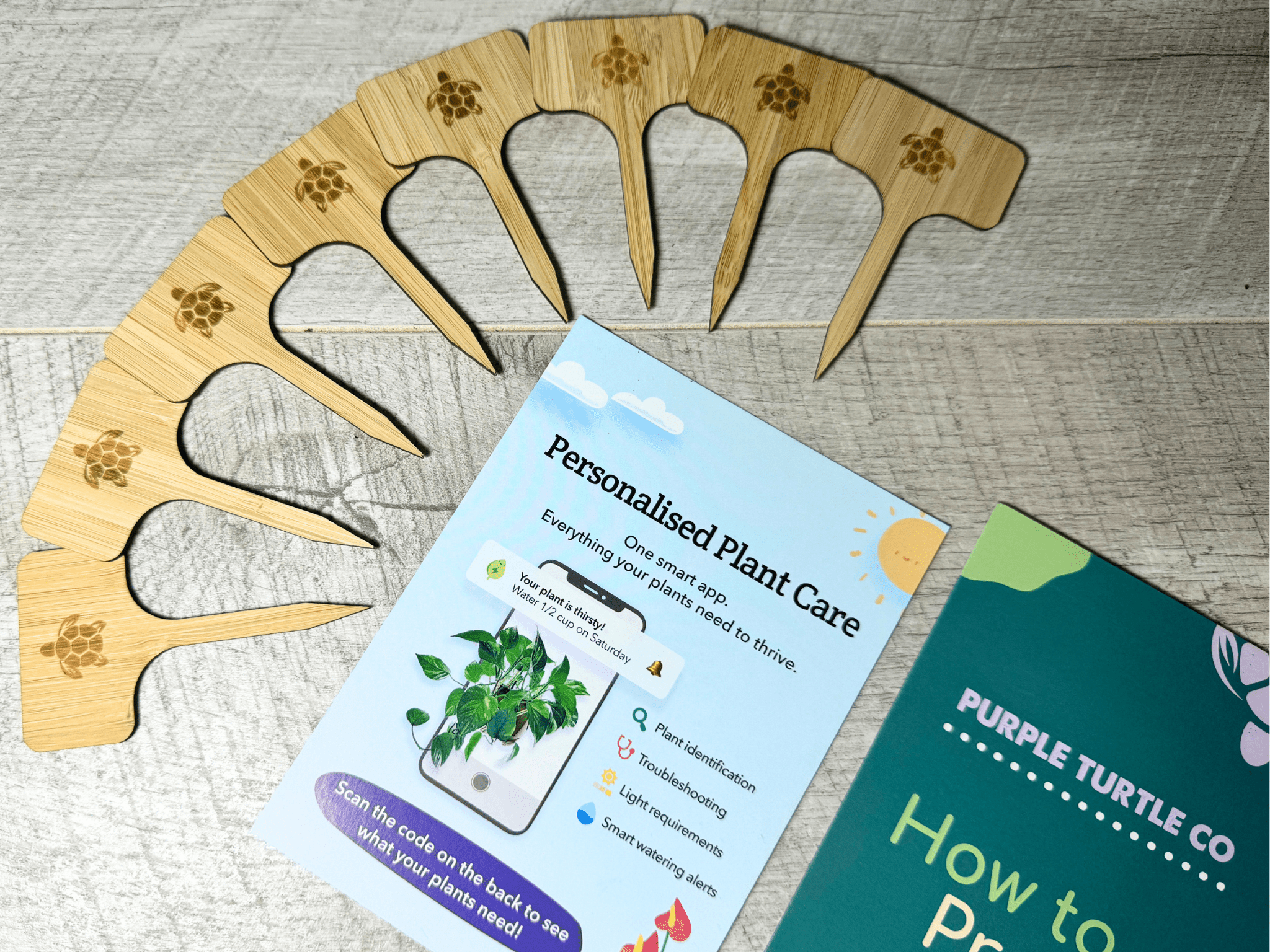 Plant Propagation Gift Set 4 - REGN