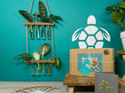 Plant Propagation Gift Set 4 - REGN