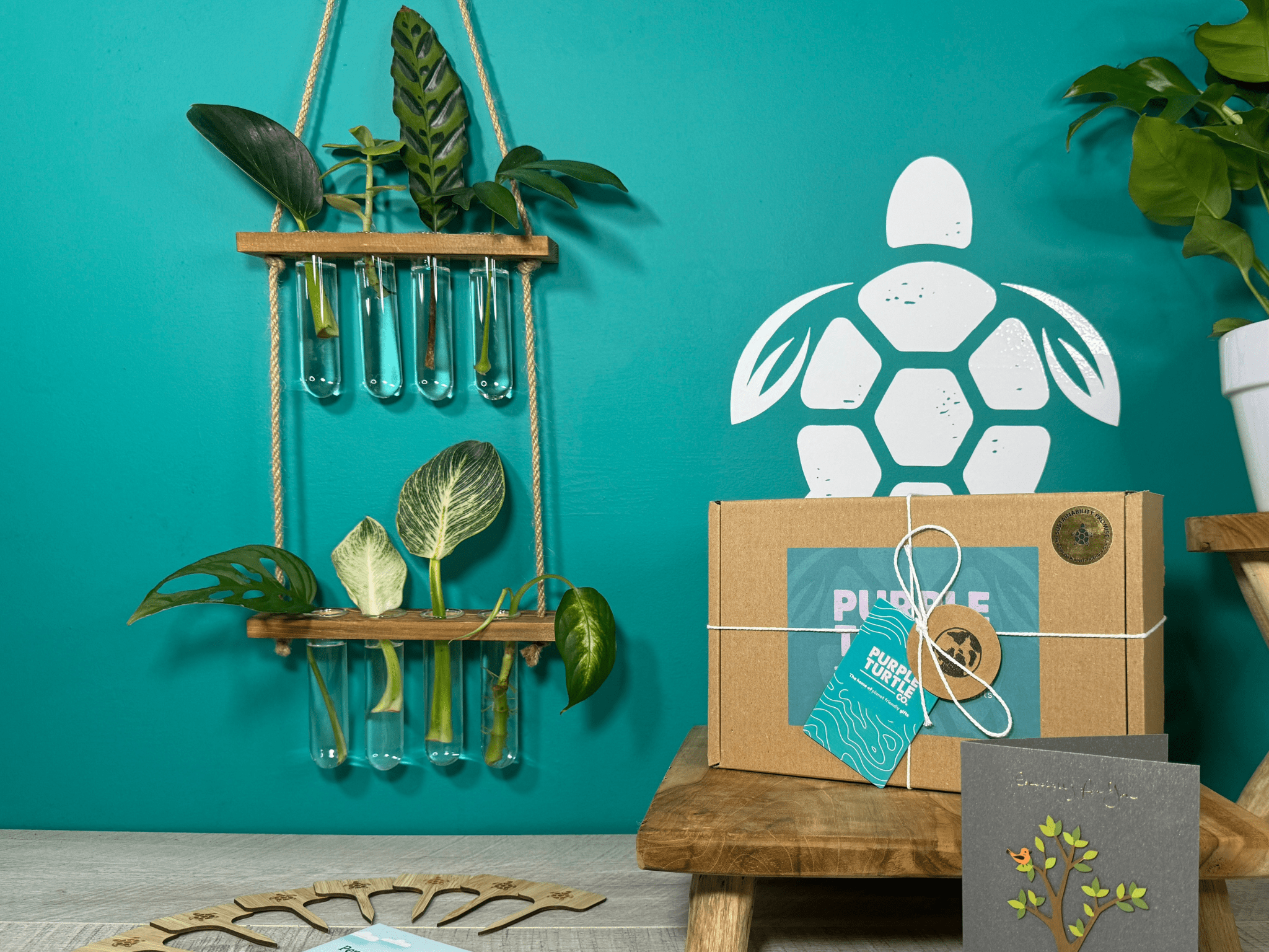 Plant Propagation Gift Set 4 - REGN