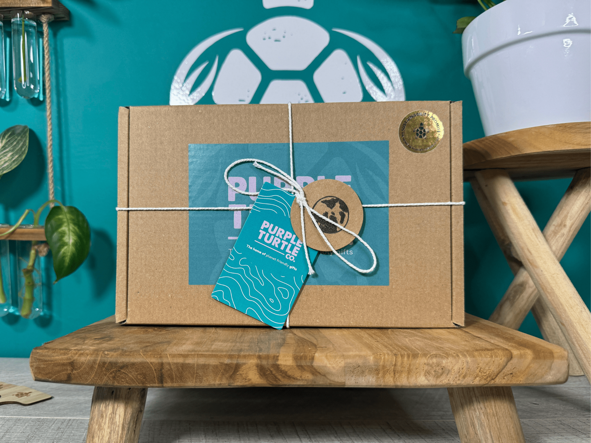 Plant Propagation Gift Set 4 - REGN