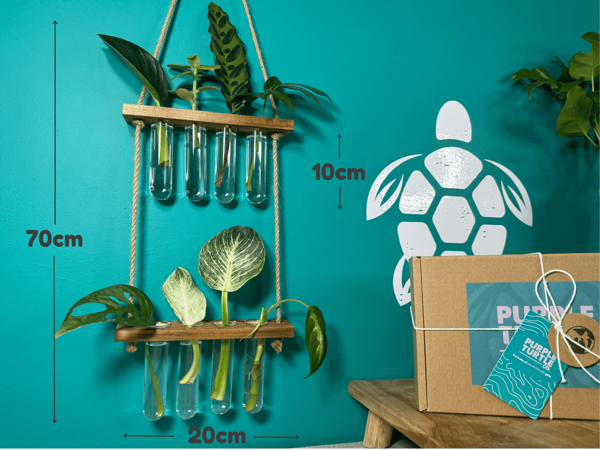 Plant Propagation Gift Set 4 - REGN