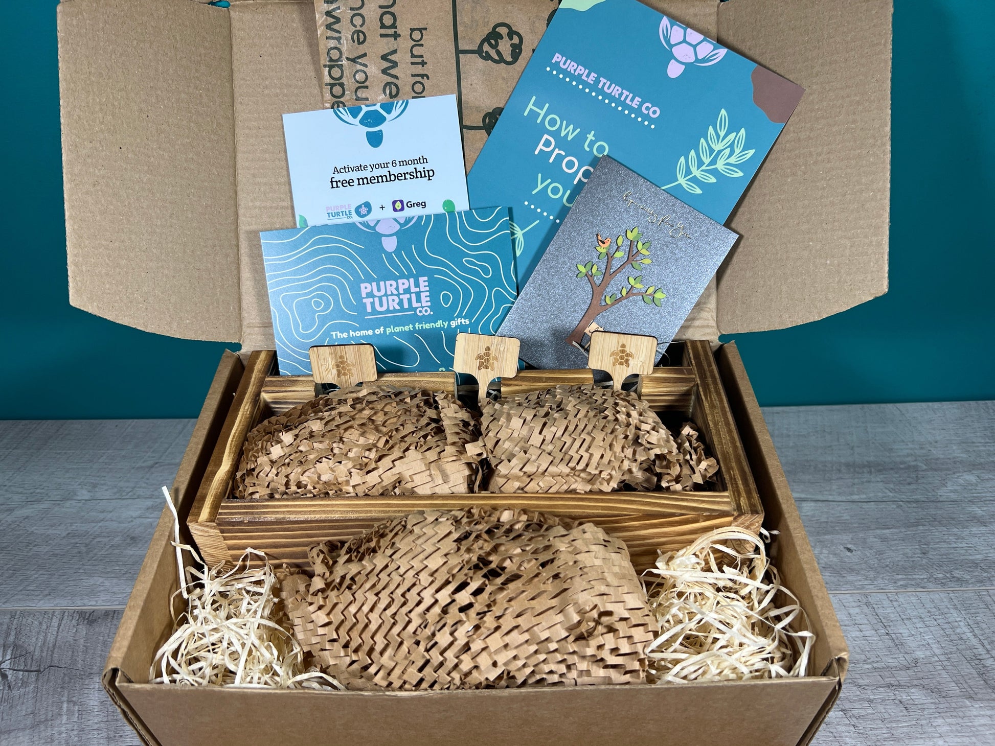 Plant Propagation Gift Set 5 - REGN