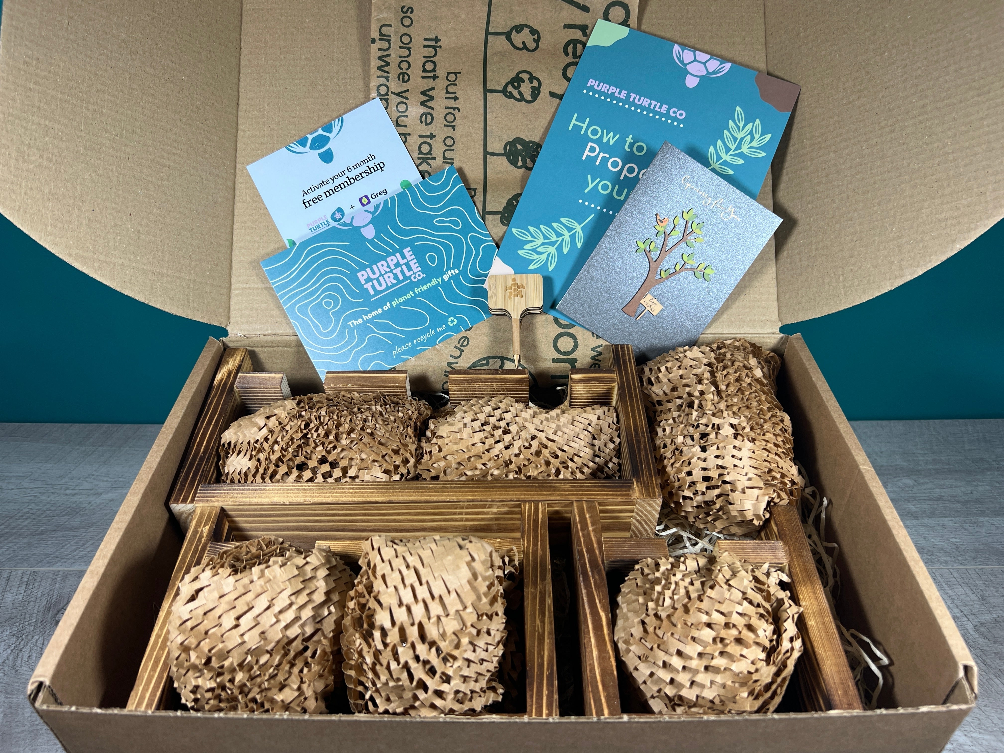 Plant Propagation Gift Set 5 - REGN